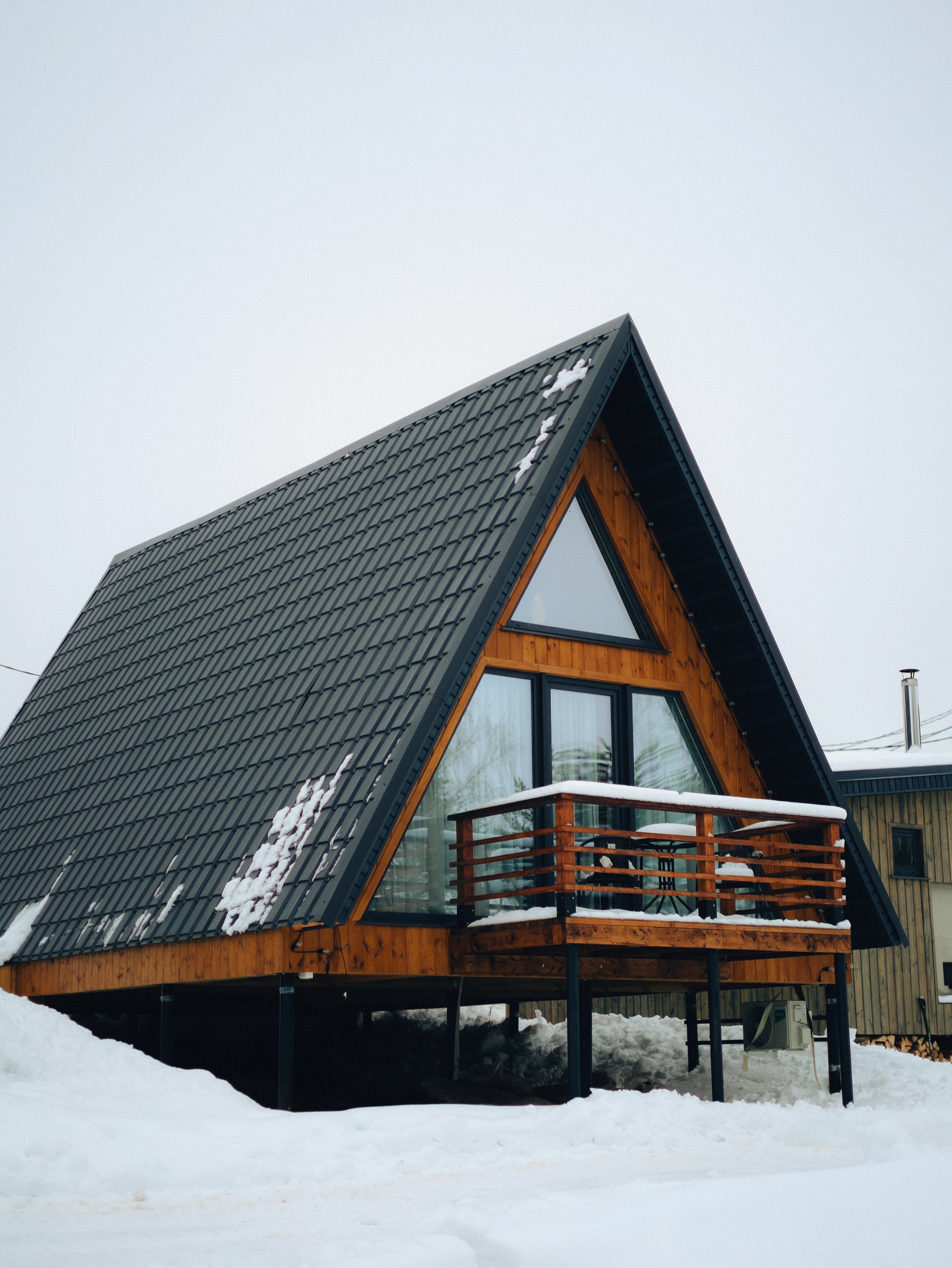 Фото Караси