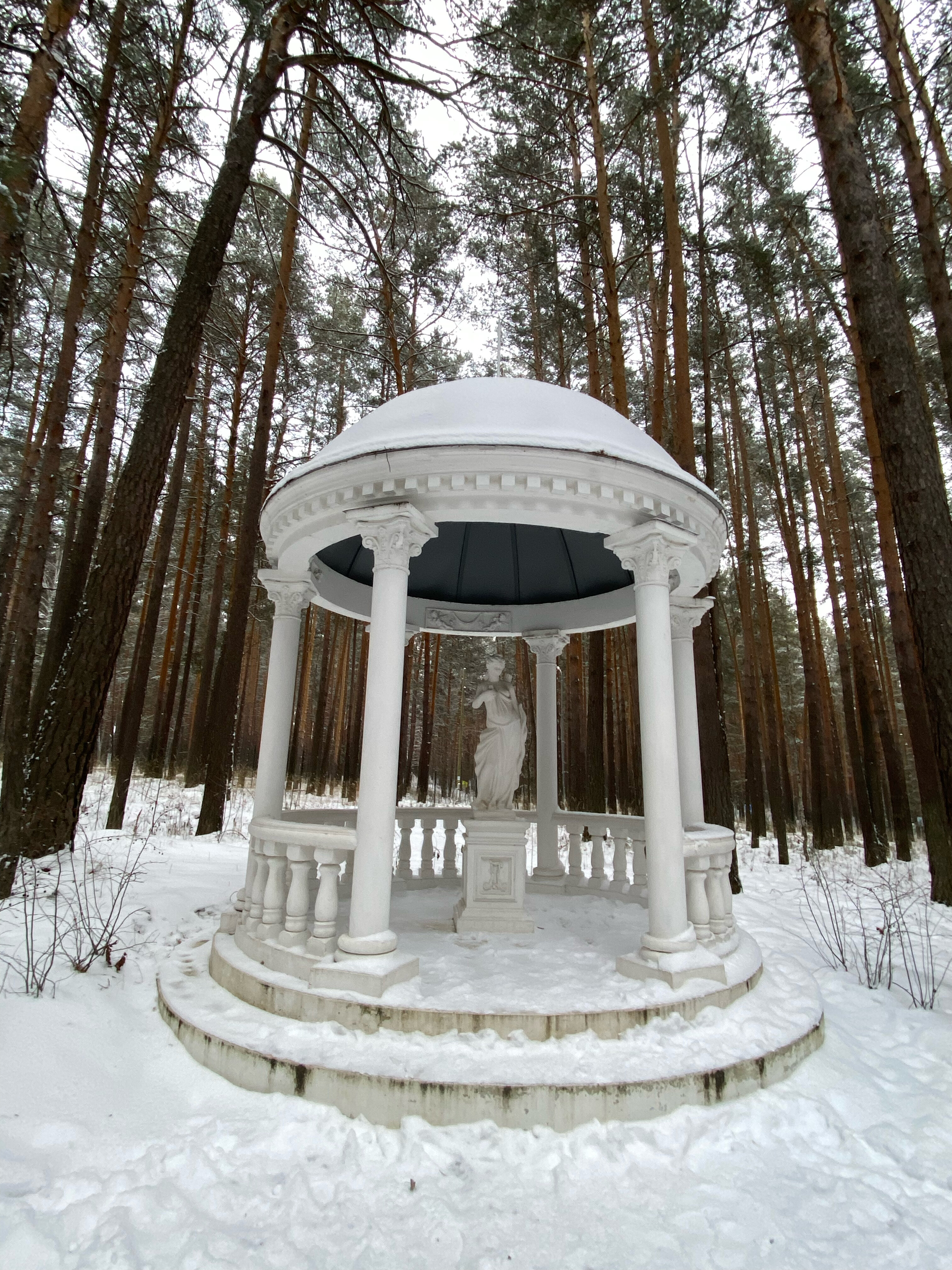 Фото Иволга