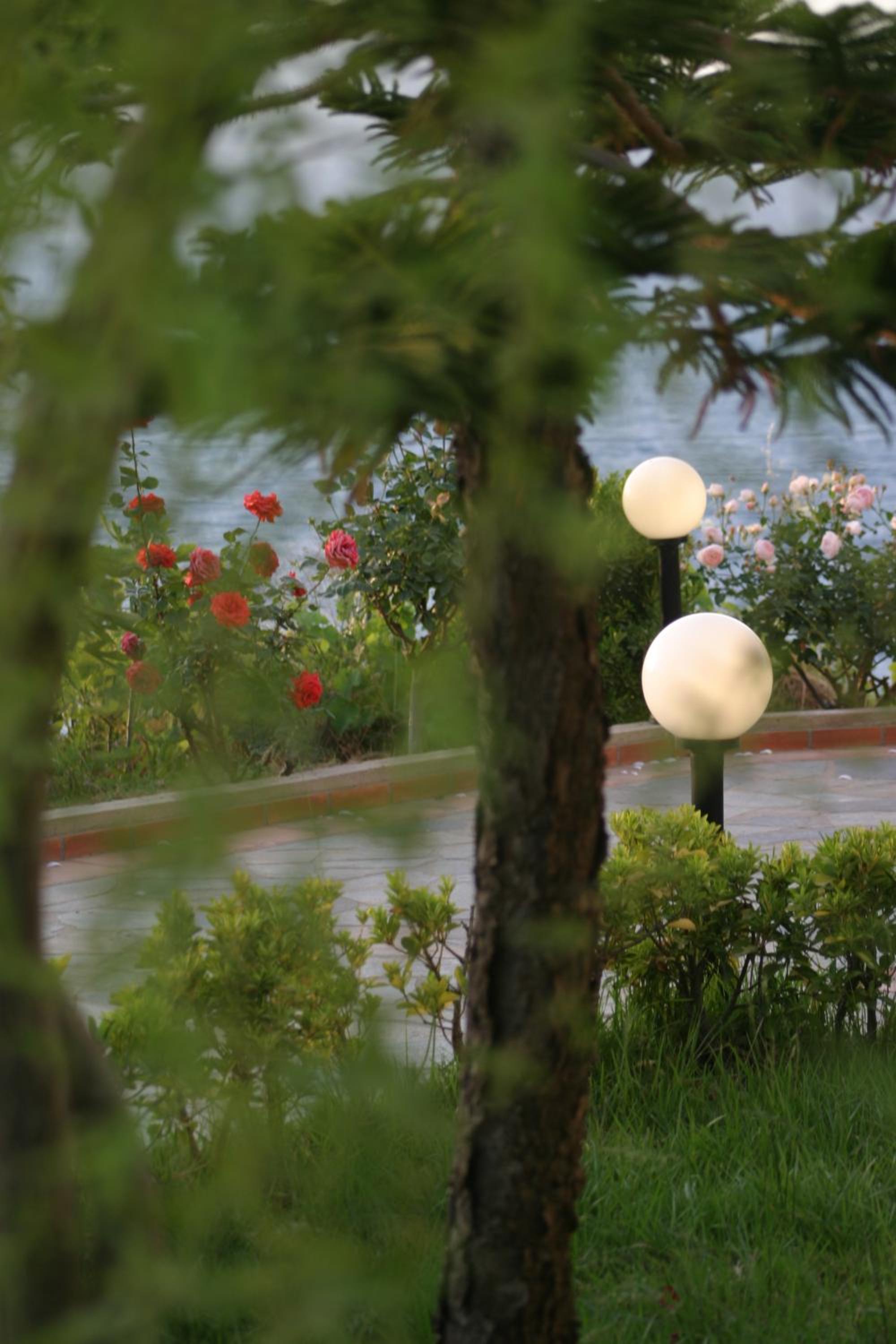 Фото Villa Irini