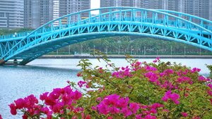 Гостиница Hyatt Regency Xiamen Wuyuanwan