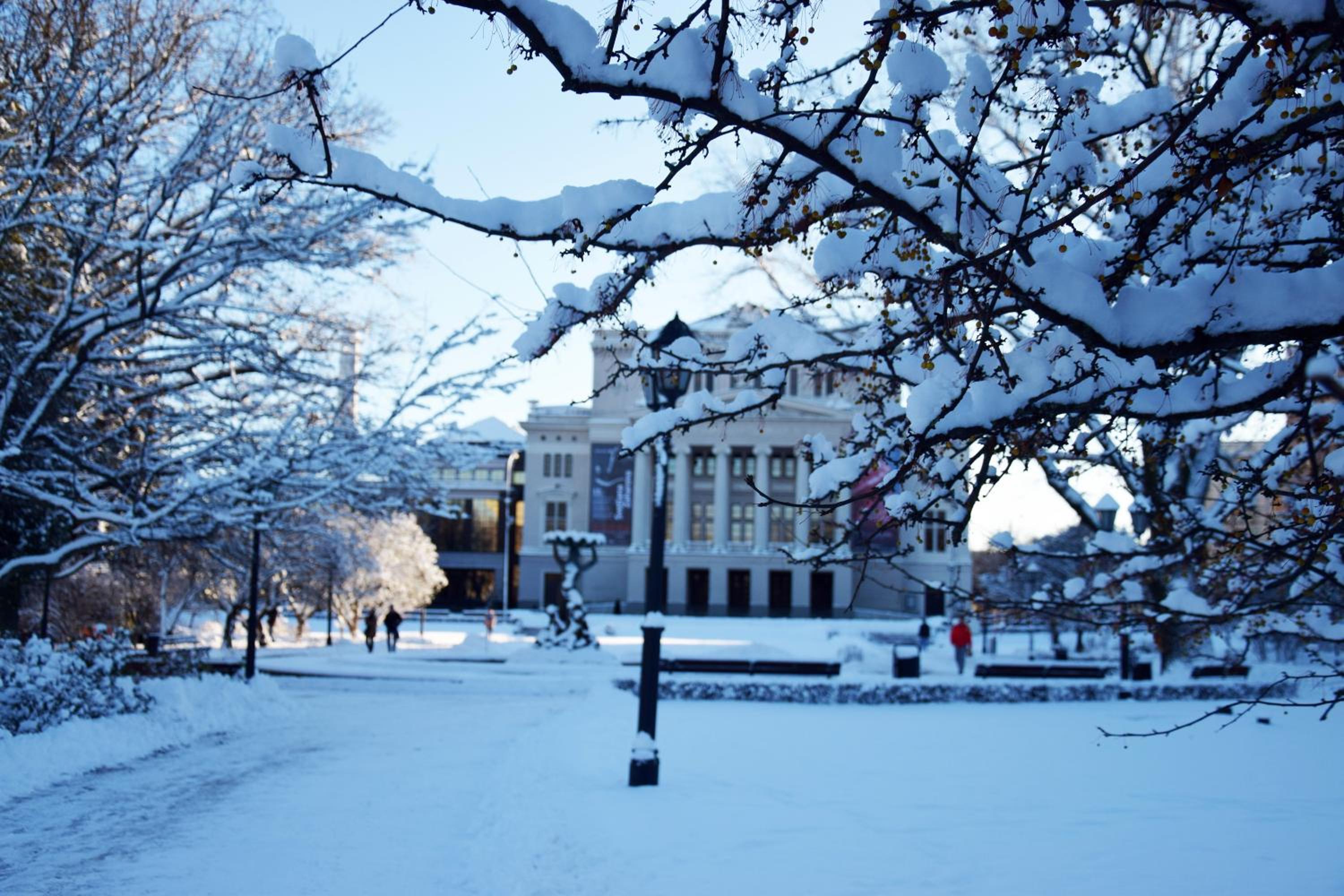 Фото Liberty Airy