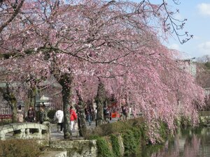 Гостиница Izu Hatake Onsen Daisenya