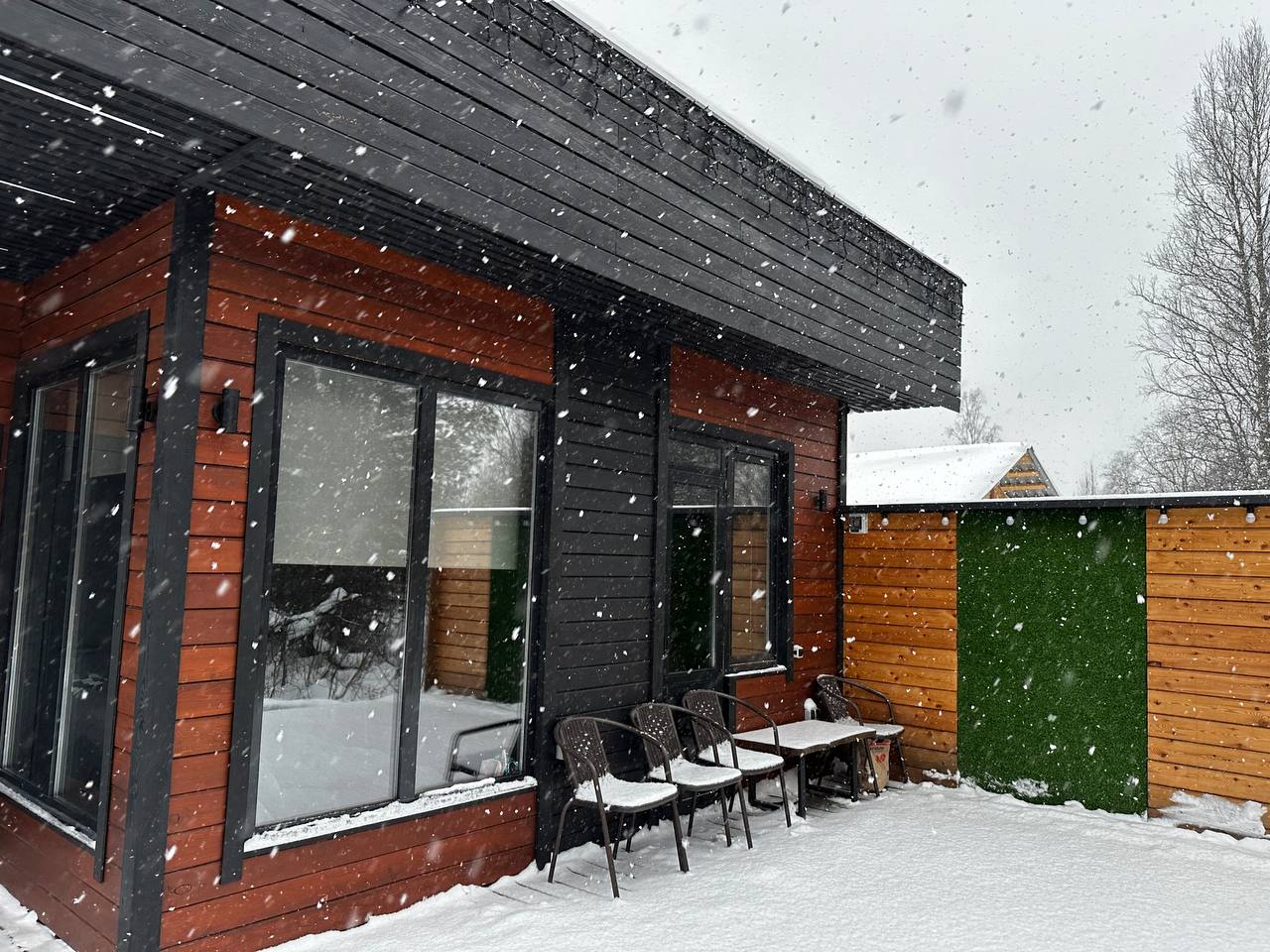 Фото Кедровая поляна