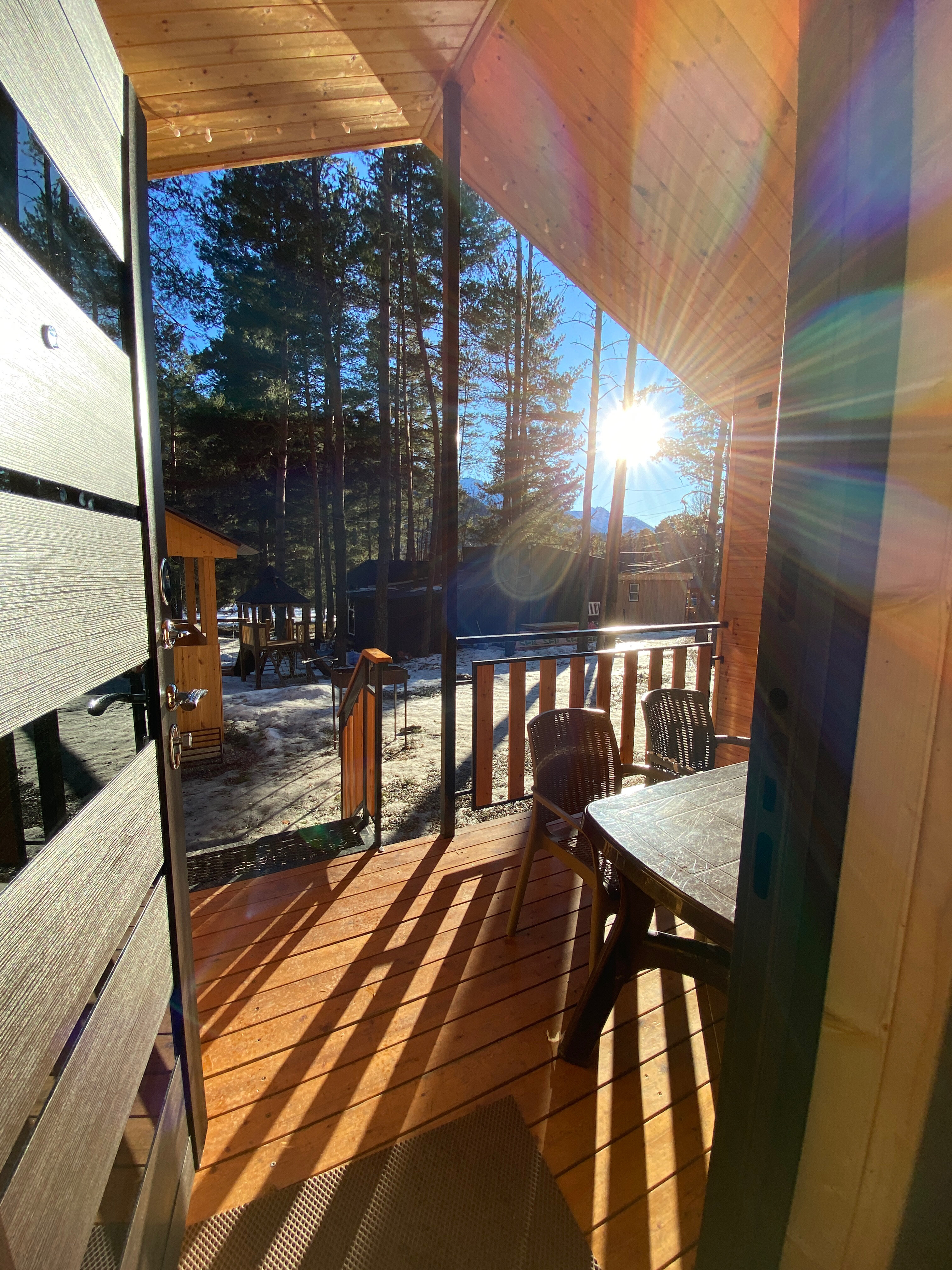 Фото Paradise Forest