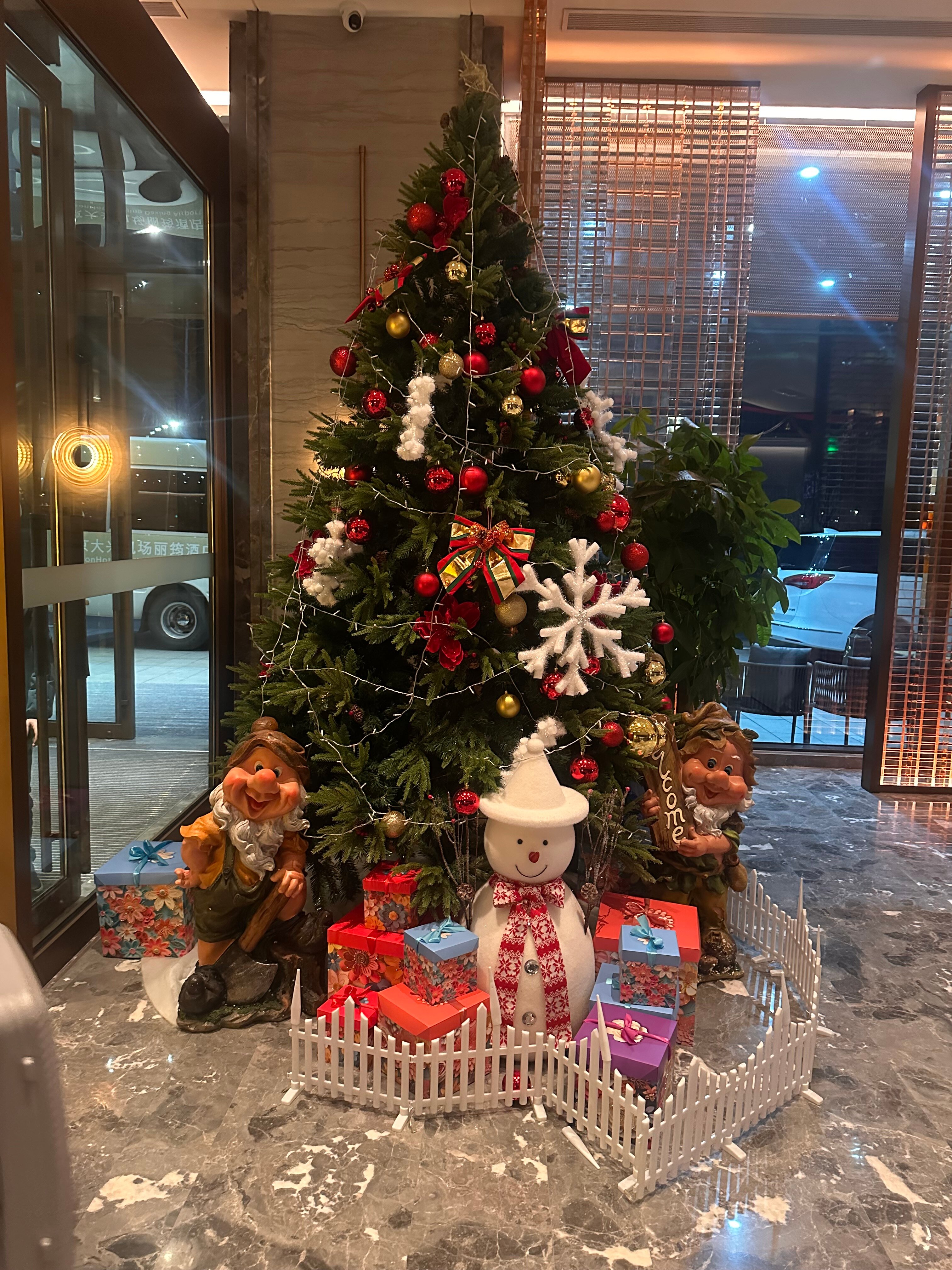 Фото Radisson Hotel Beijing Daxing Airport