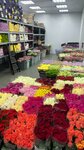 Roza Roz (Rizhskaya Square, 9с2), flower shop