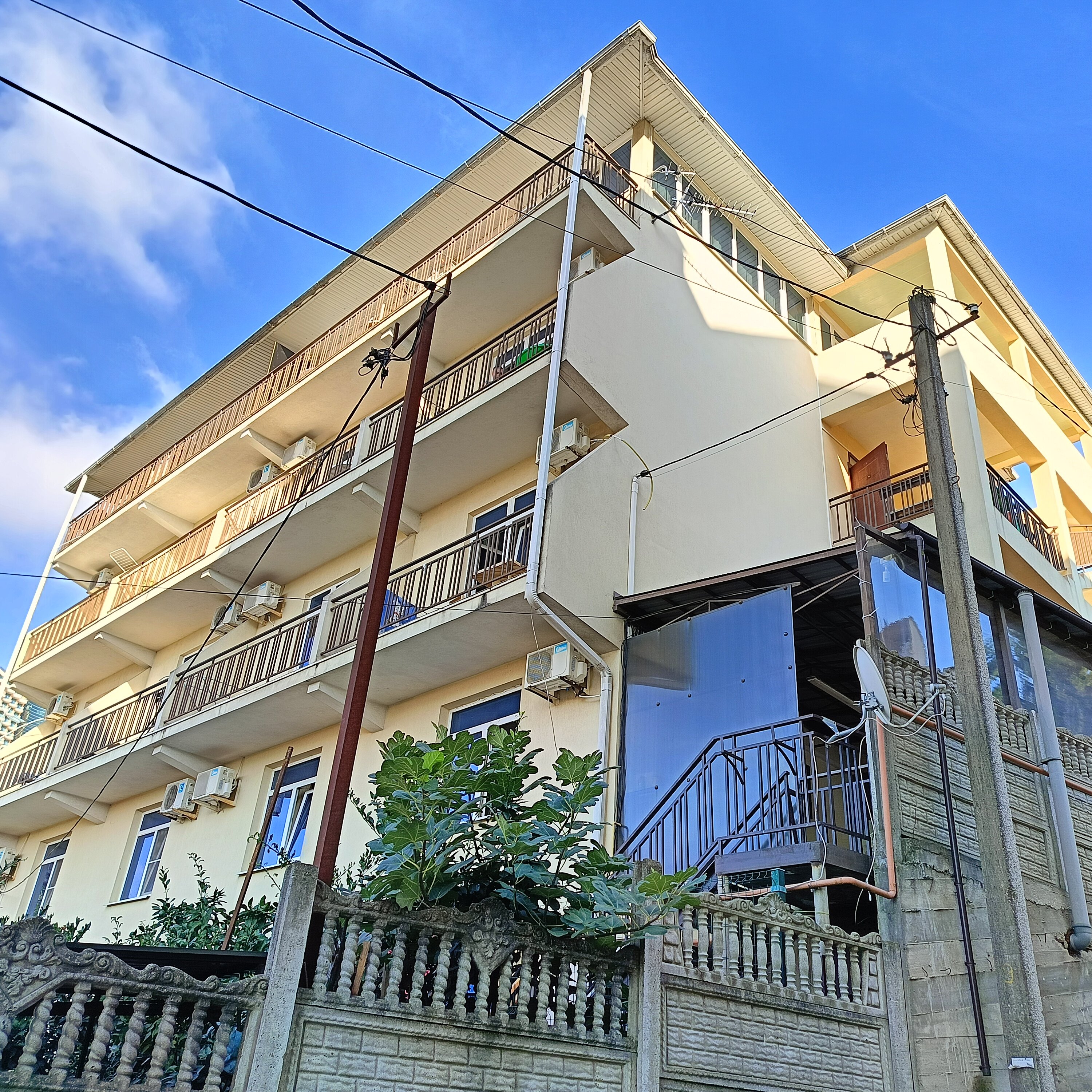 Фото Дельфин