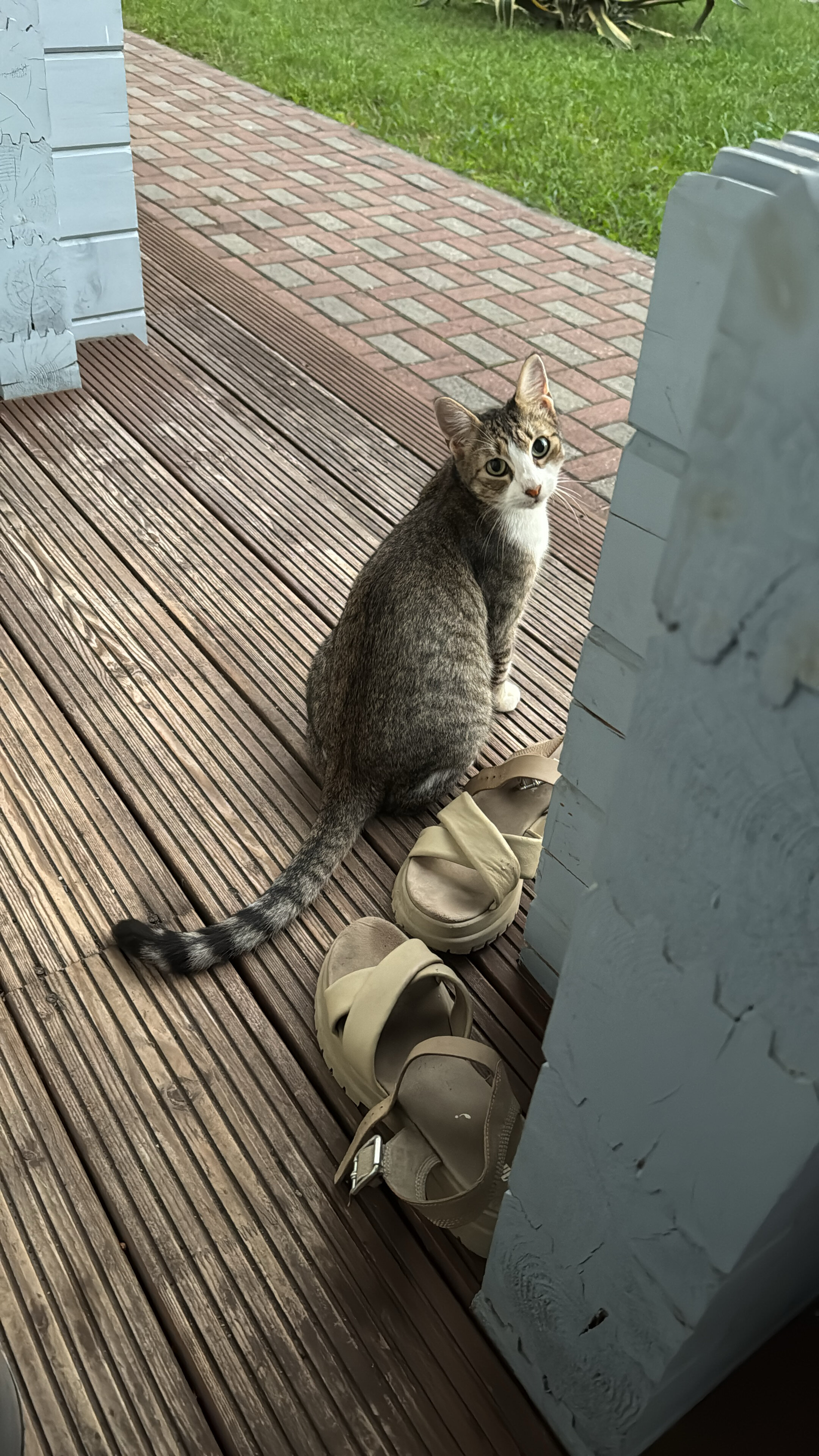 Фото 25448628356