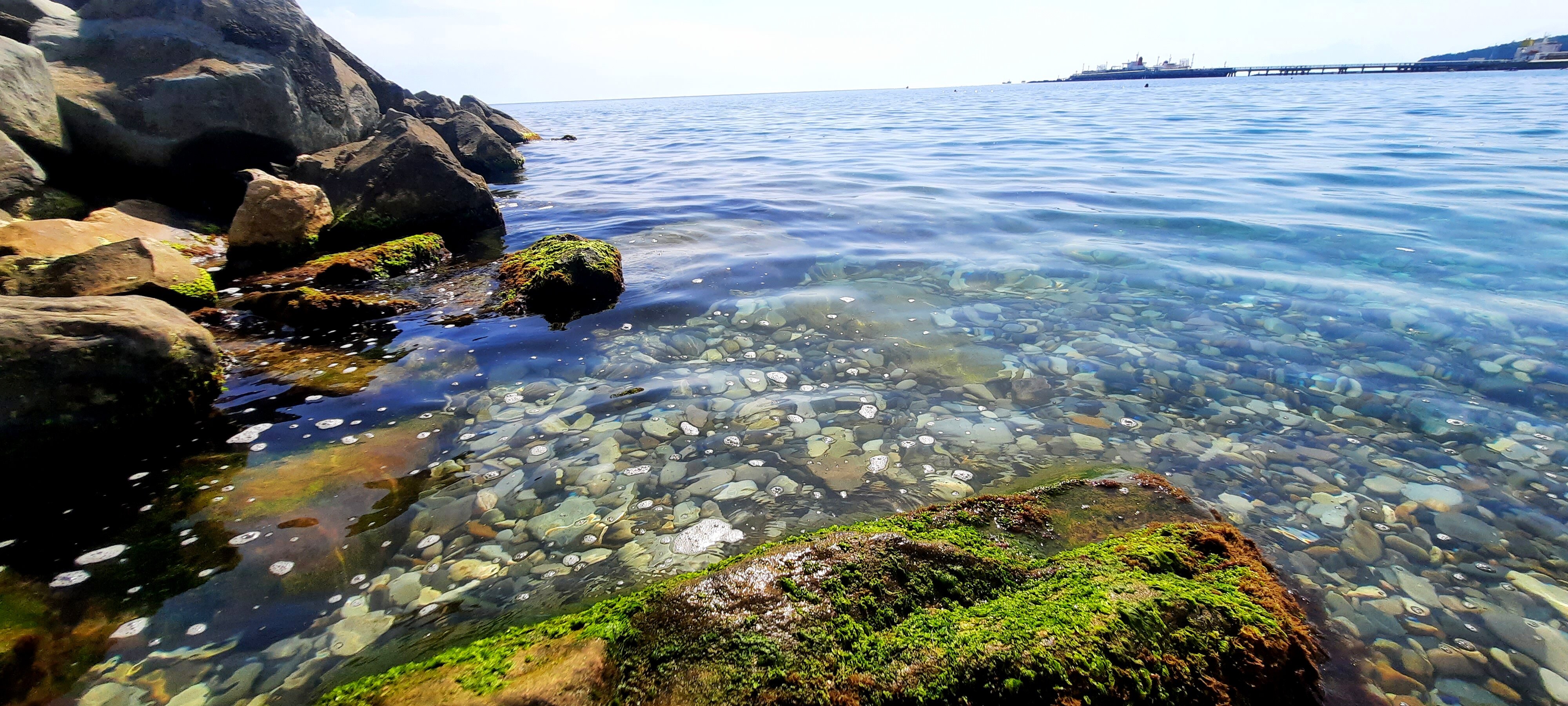 Фото Дубовая Роща