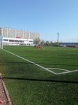 Zvezda (Polevaya Sabirovskaya Street, 52), sports club