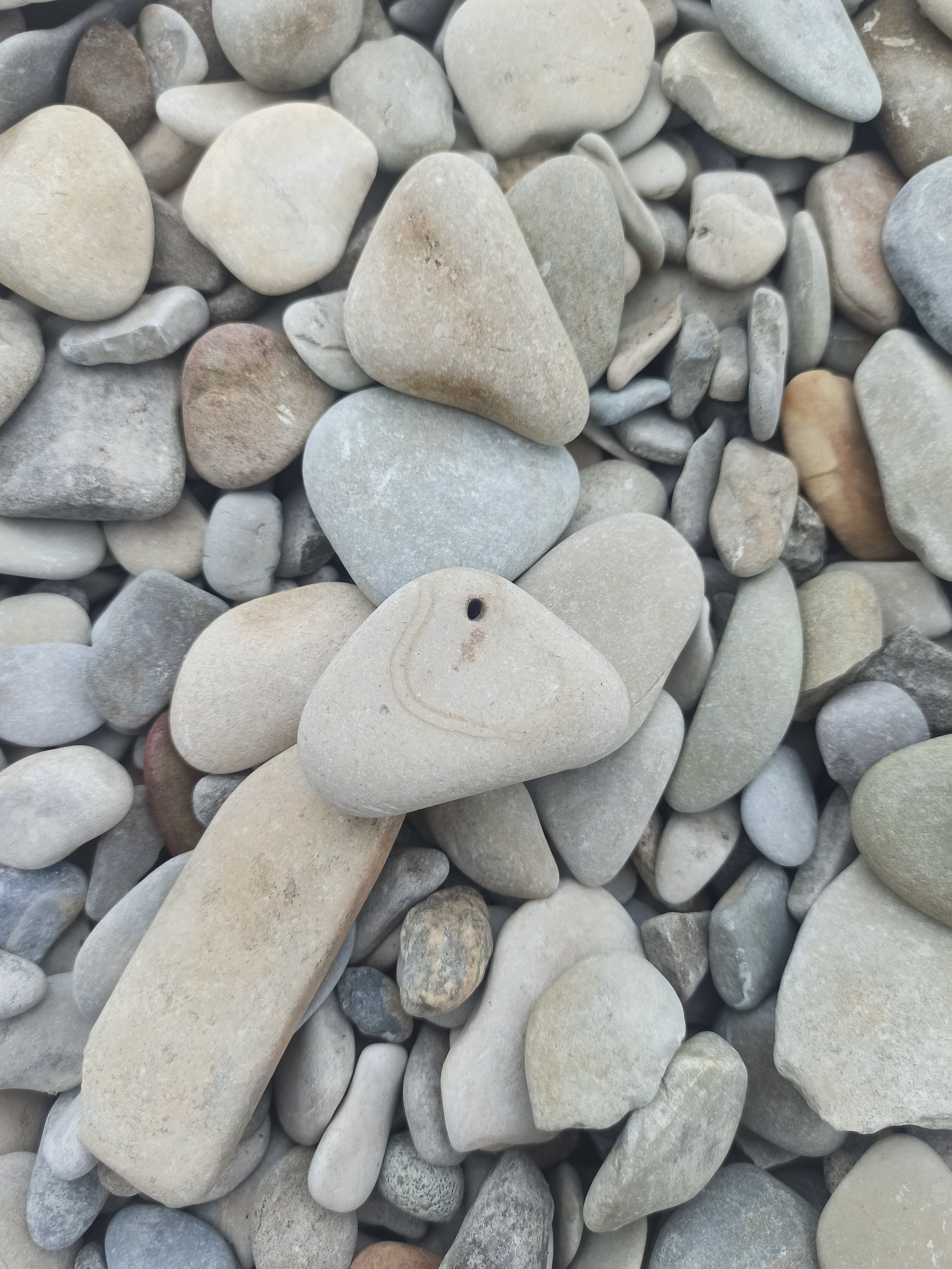 Фото Орхидея