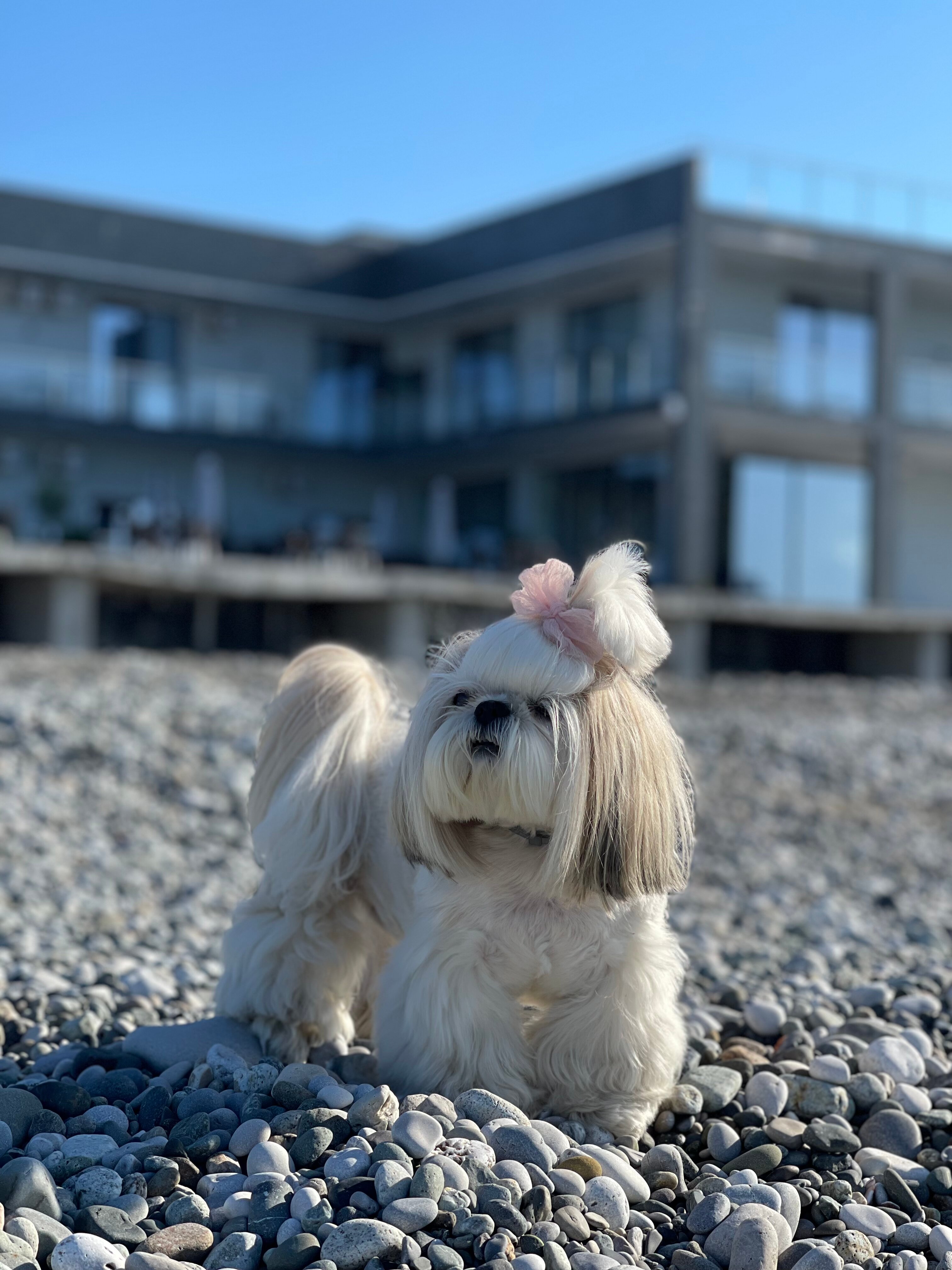 Фото Costa d’Ora