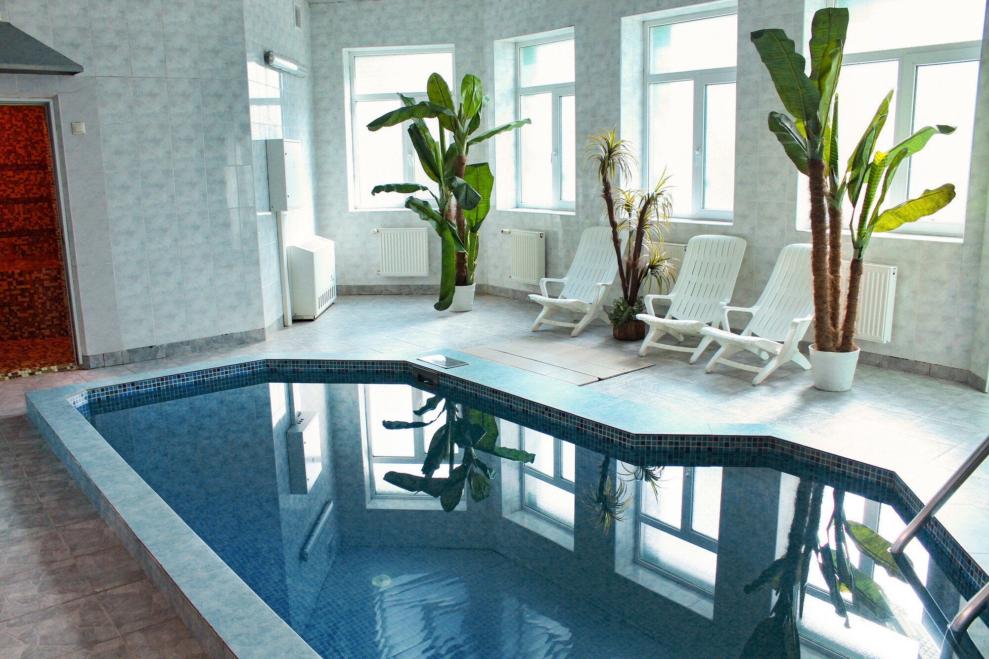 Фото Зелёная