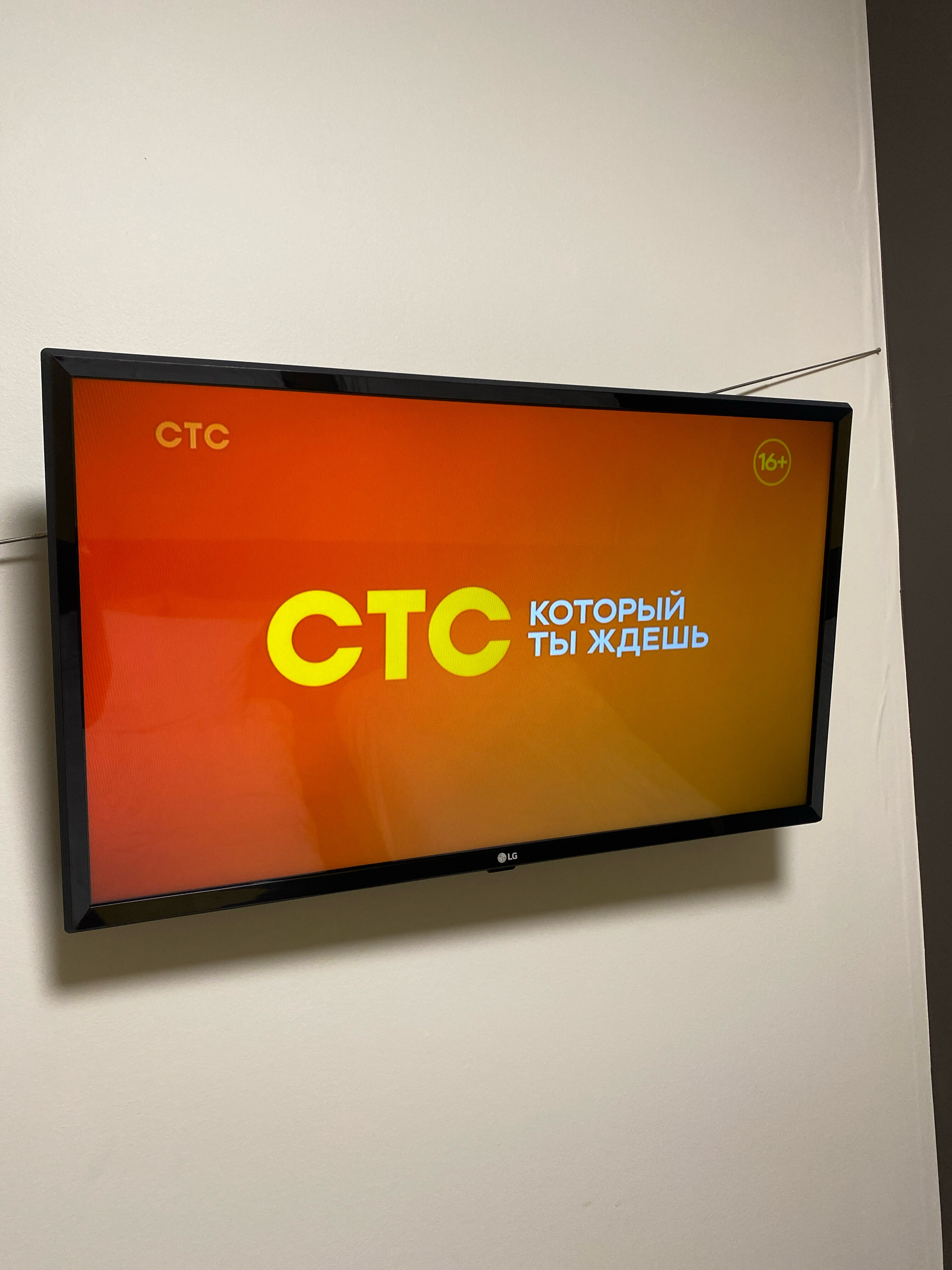 Фото Авитель