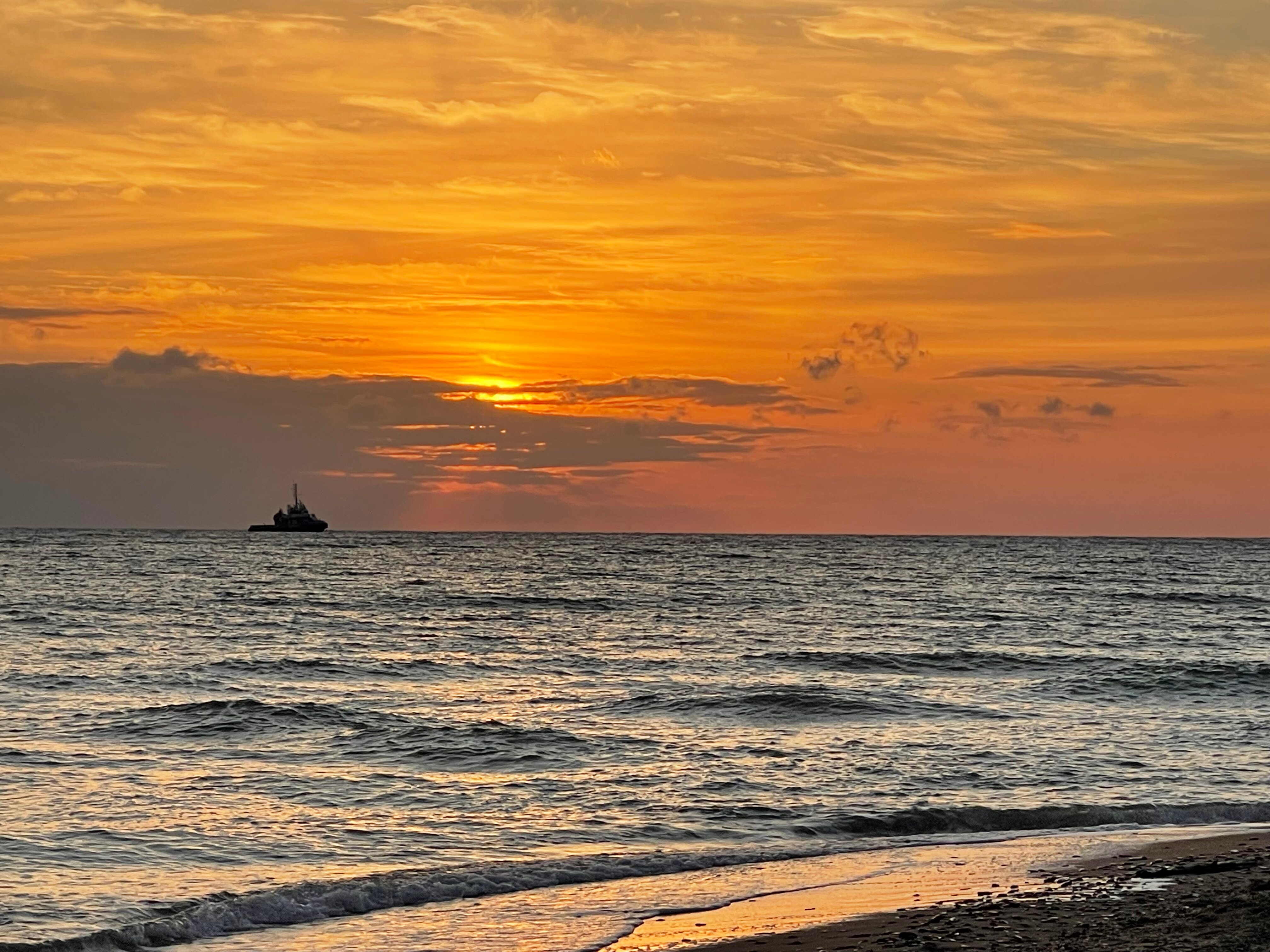 Фото Фридом