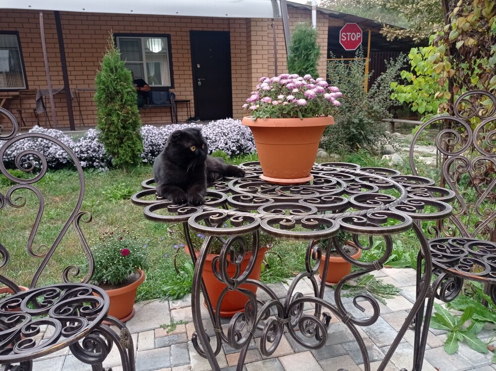 Фото 1000 и 1 Ночь