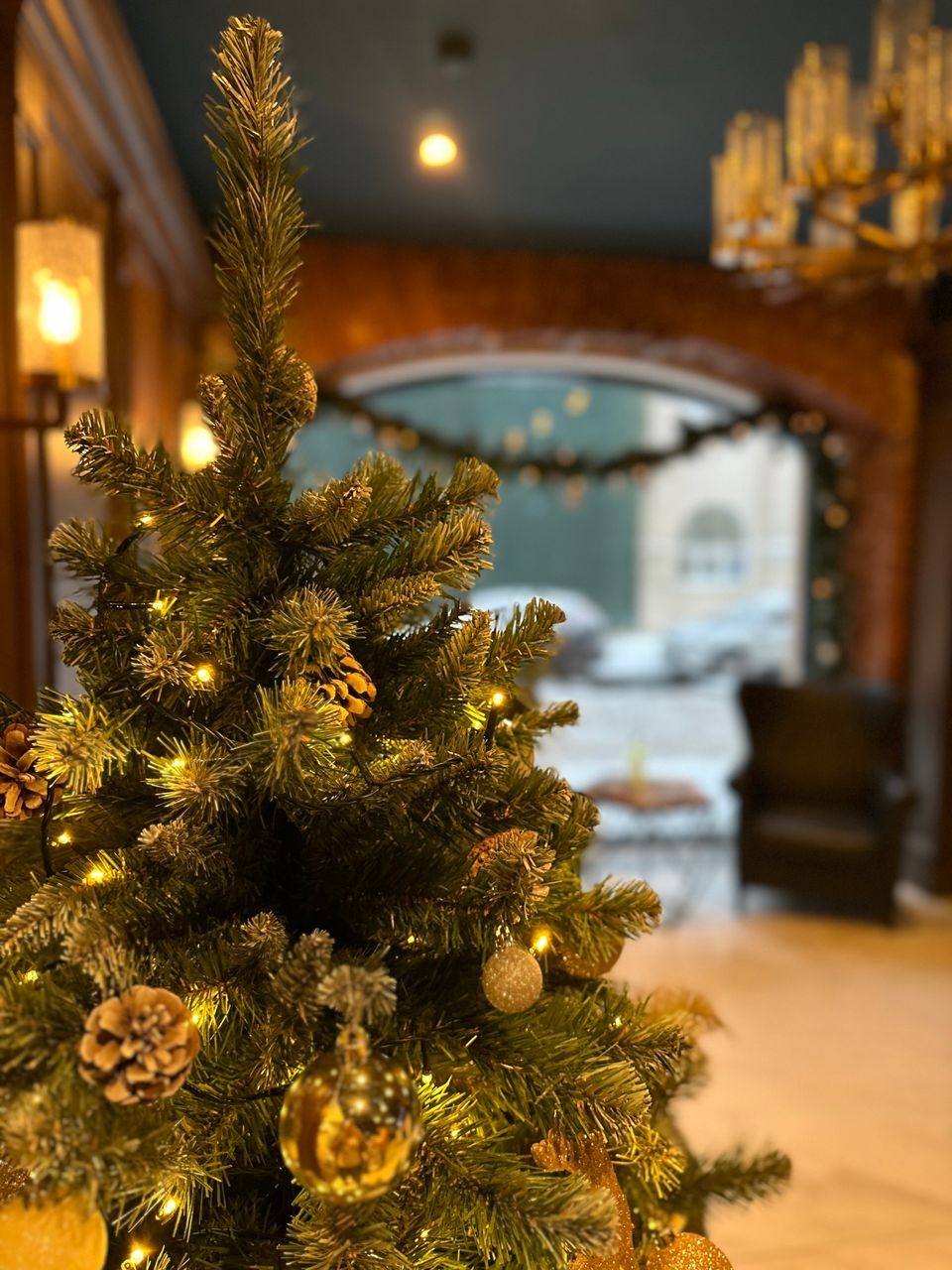 Фото Статский Советник на Кустарном