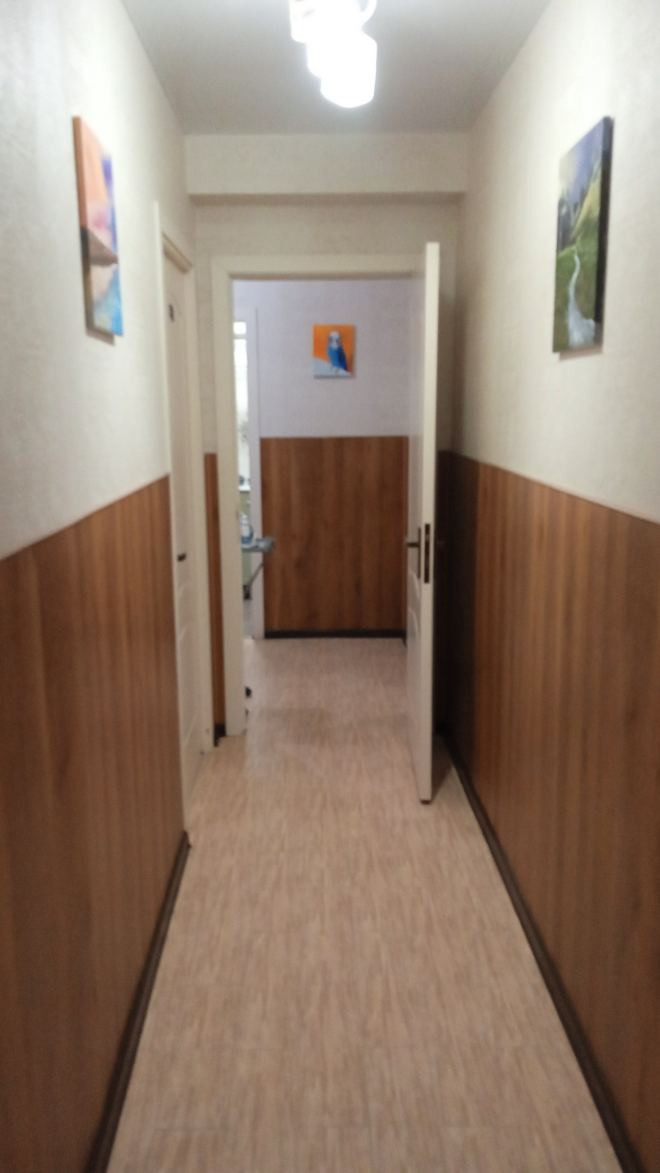 Фото Эдельвейс