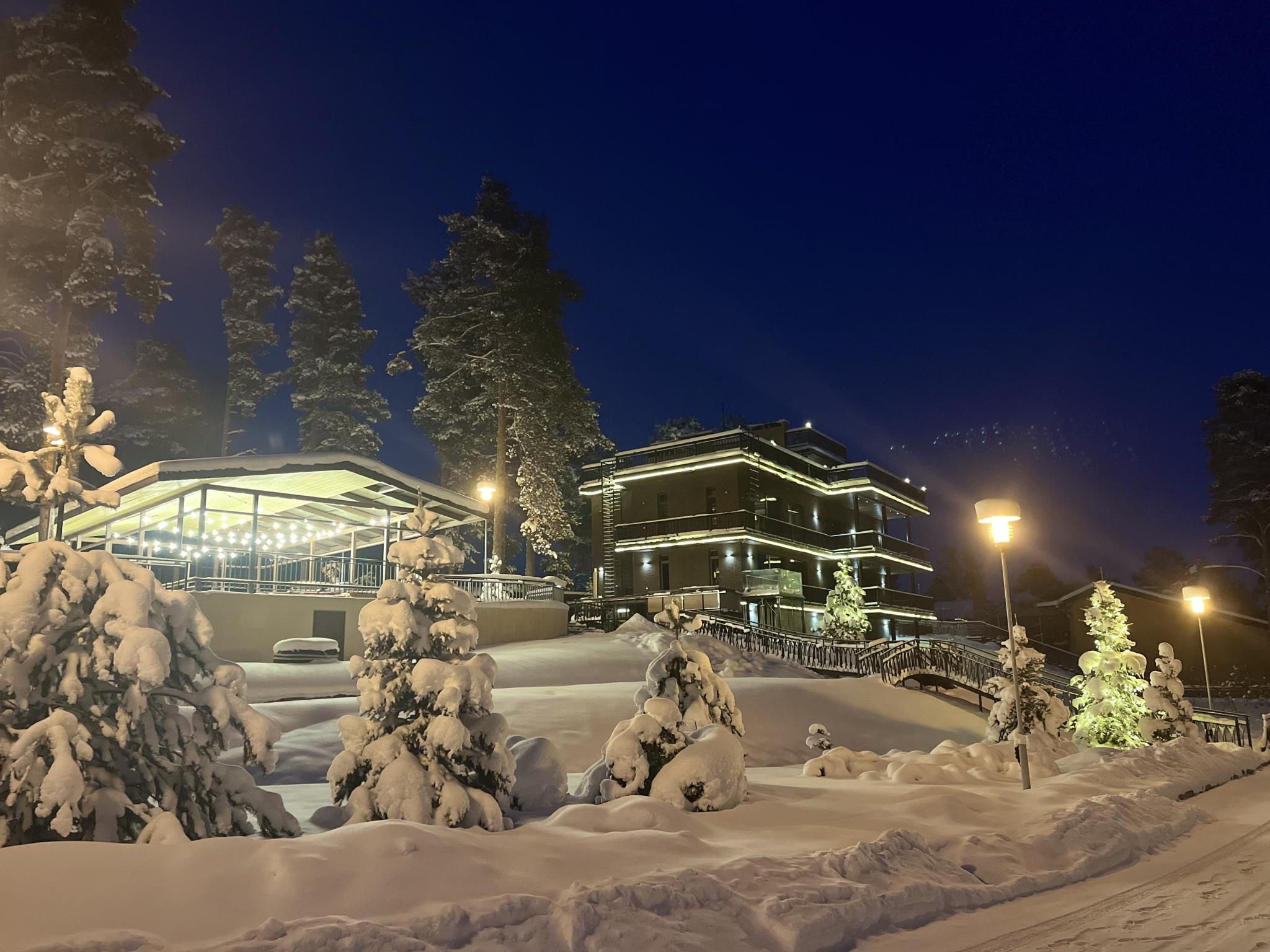 Фото Северный сад