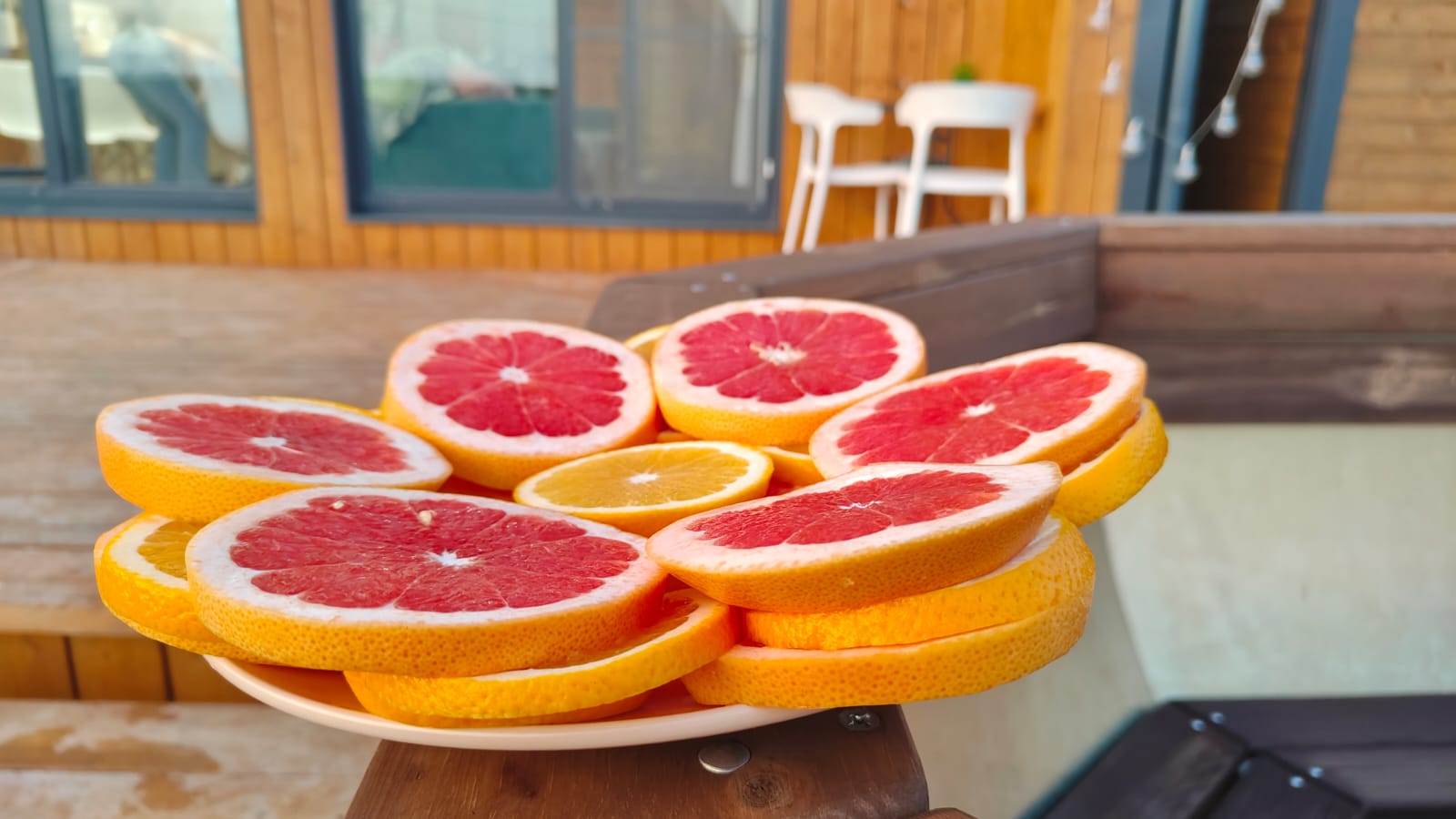 Фото Эхо Костра