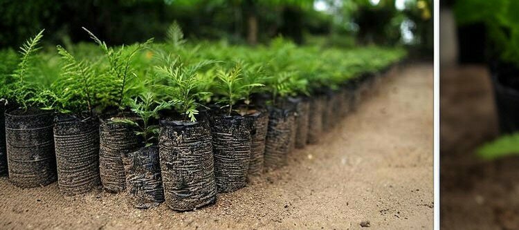 Packing materials Sarplast, Tekkekoy, photo