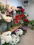 Flower Legend Studio (ulitsa Aleksandra Kozitsyna, 14), floristeria