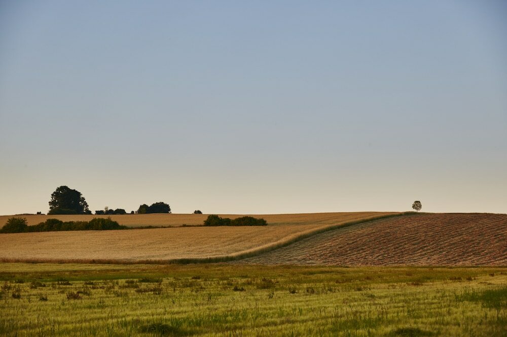 Фото Hotel Gutsgasthof Stangl