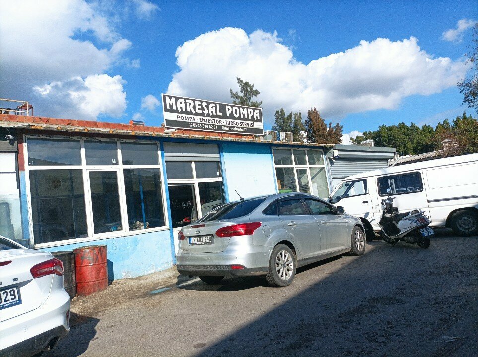 Turbine repair Marshal Pump, Antalya, photo