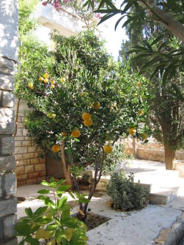 Фото Guesthouse Punta Mira