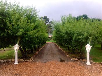 Фото Oaksrest Vineyards