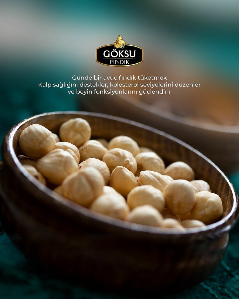 Wholesale company Goksu Hazelnut, Giresun, photo