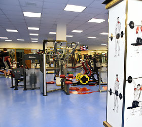 Фото Континент