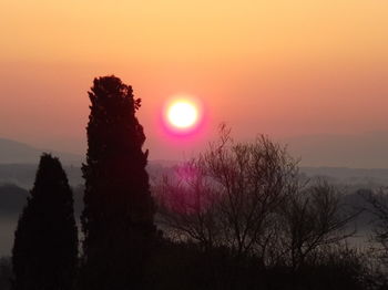 Фото Tenuta i Lecci di Gurian Roberta Maura