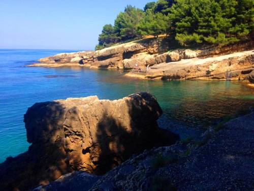 Фото Apartments Lungo Mare