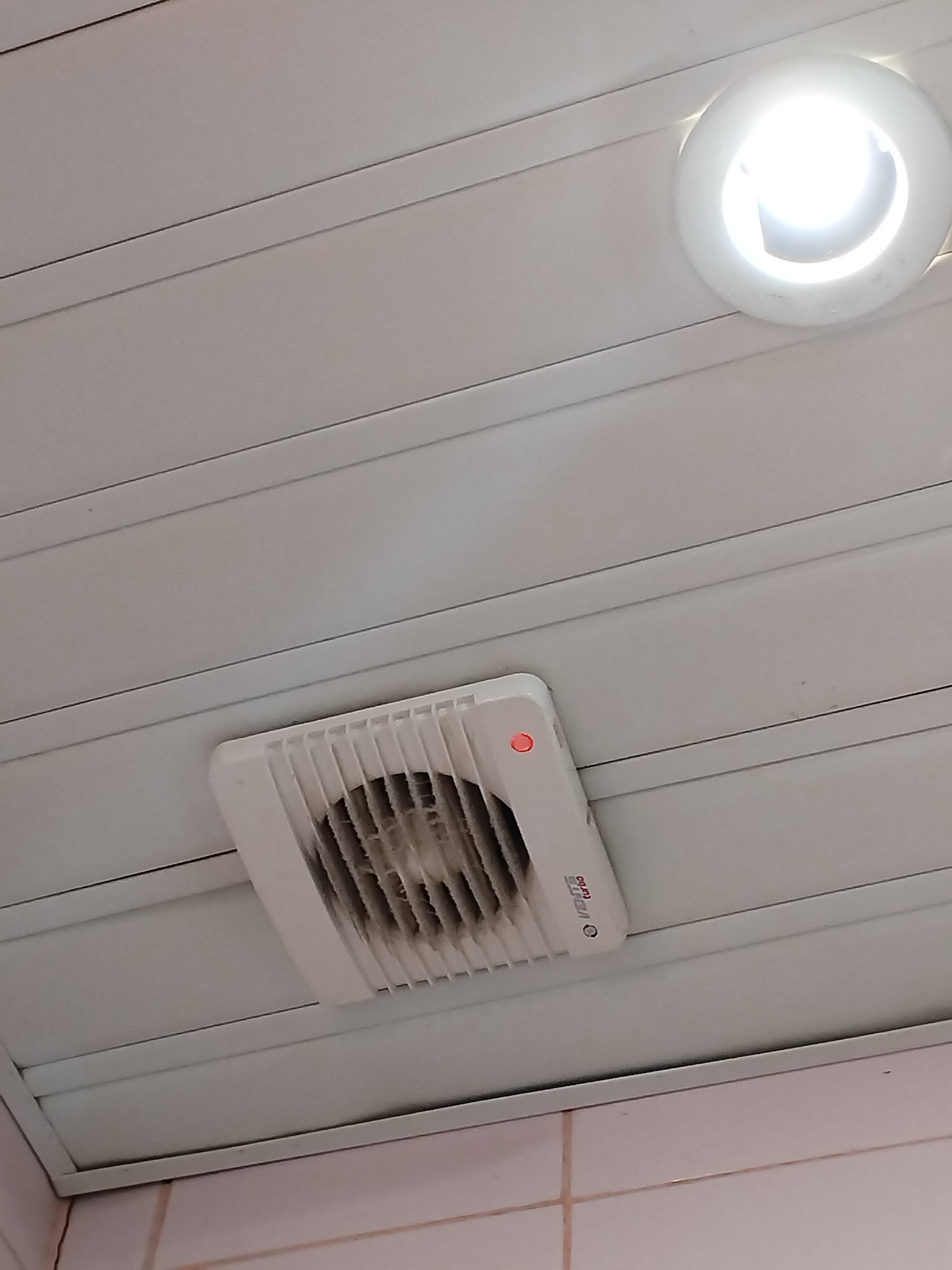 Фото Бригантина