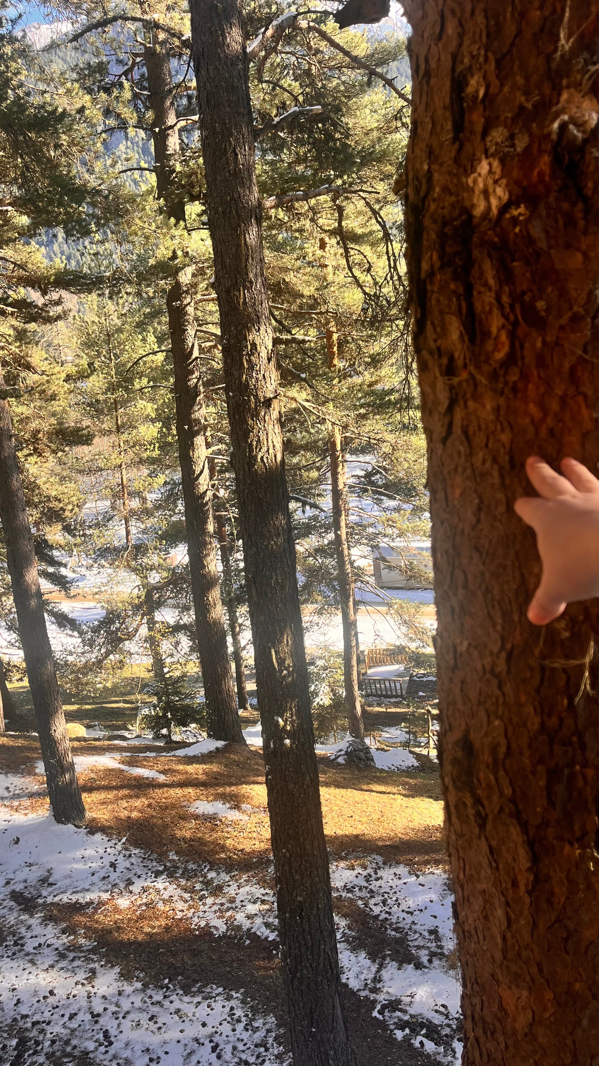 Фото Bal House Arkhyz