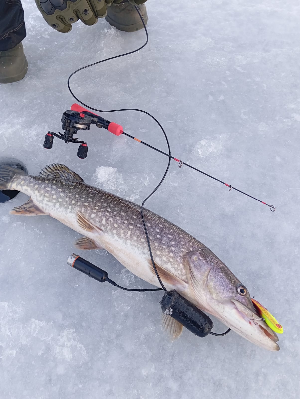 Фото Сорочьи горы