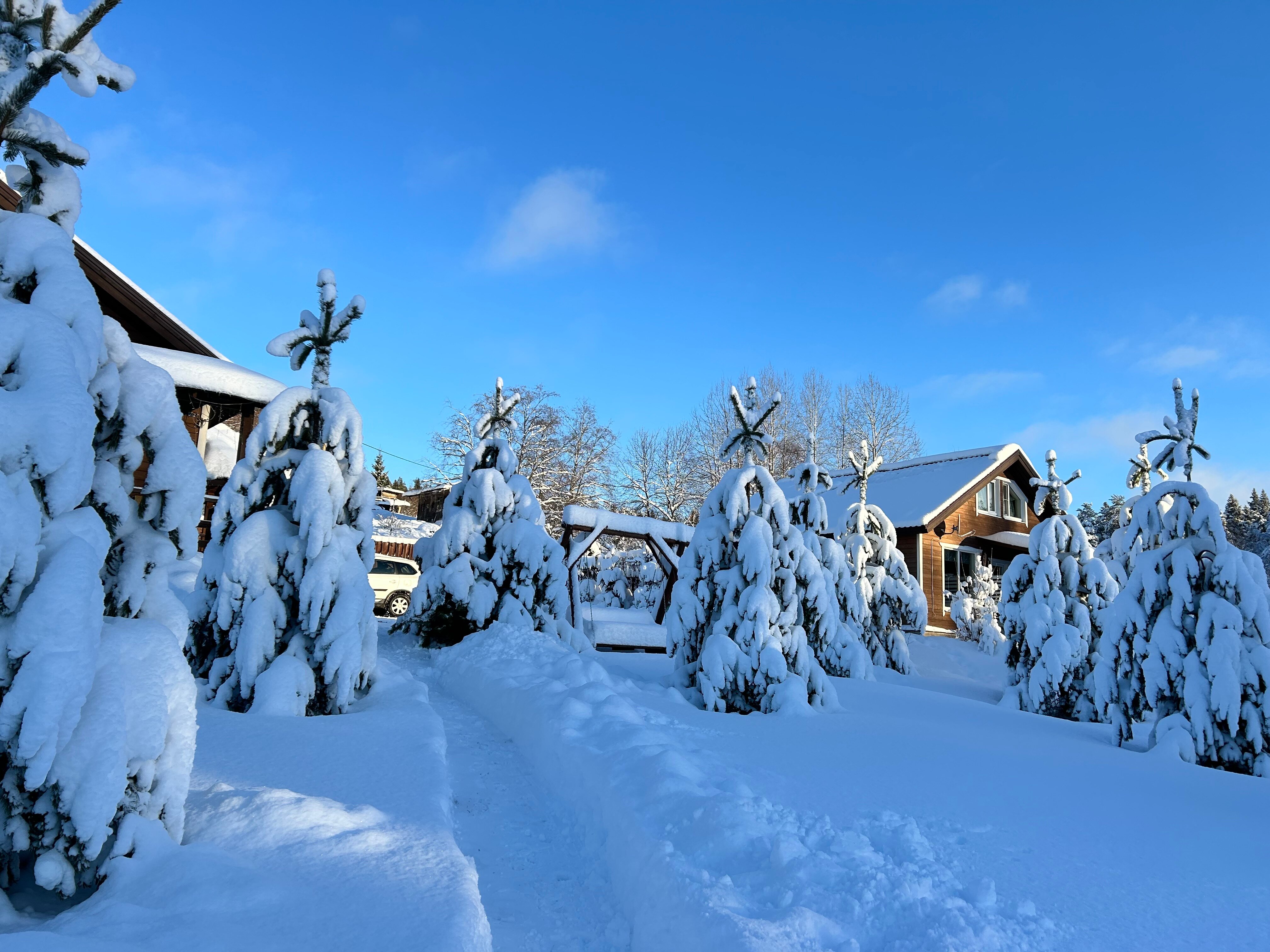 Фото Домики на Тихой