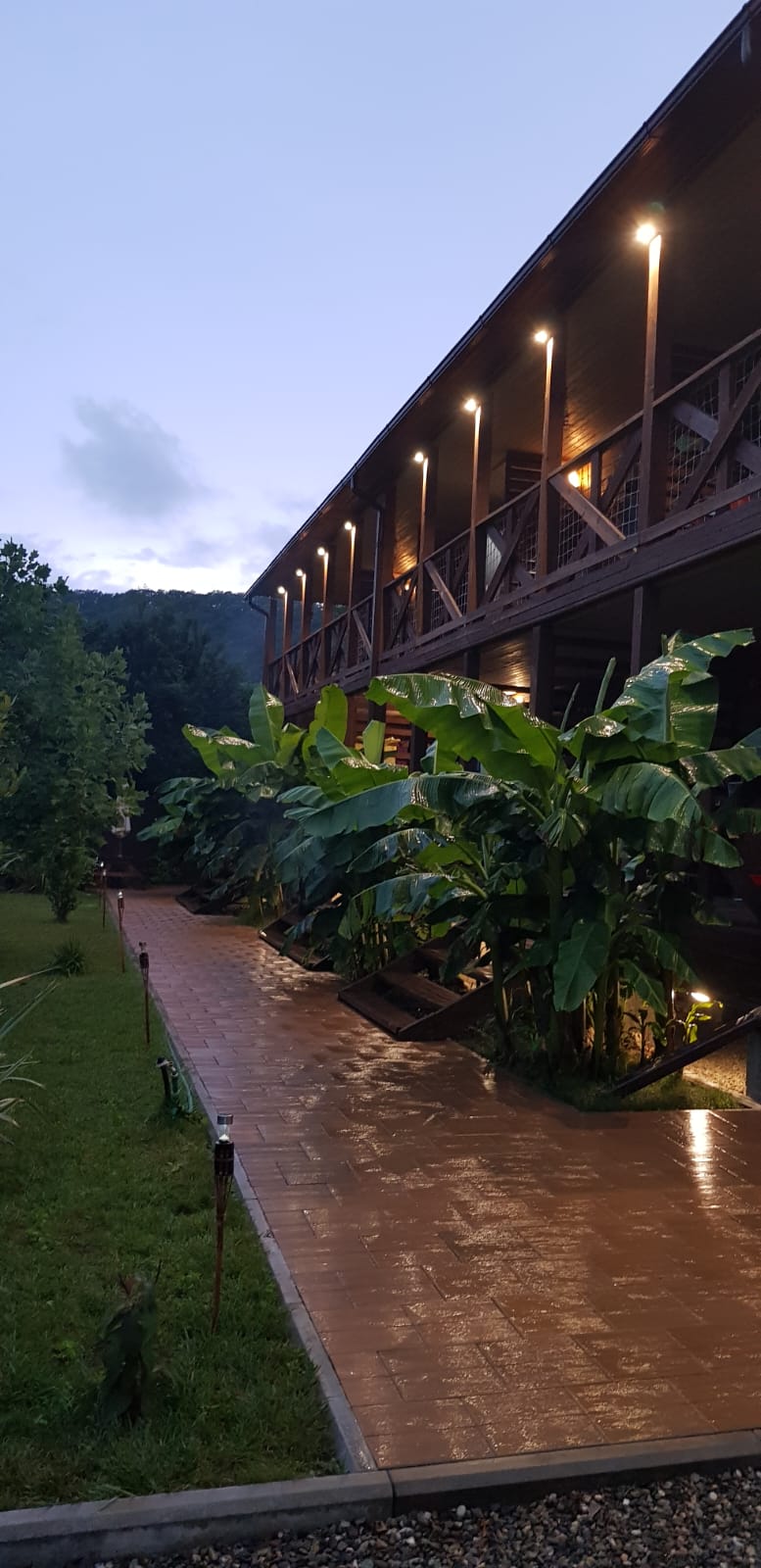 Фото Баунти