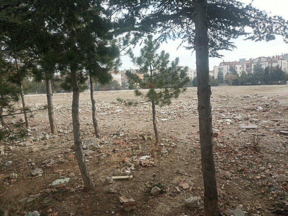 School Governor İhsan Dede Imam and Preacher Middle School, Konya, photo