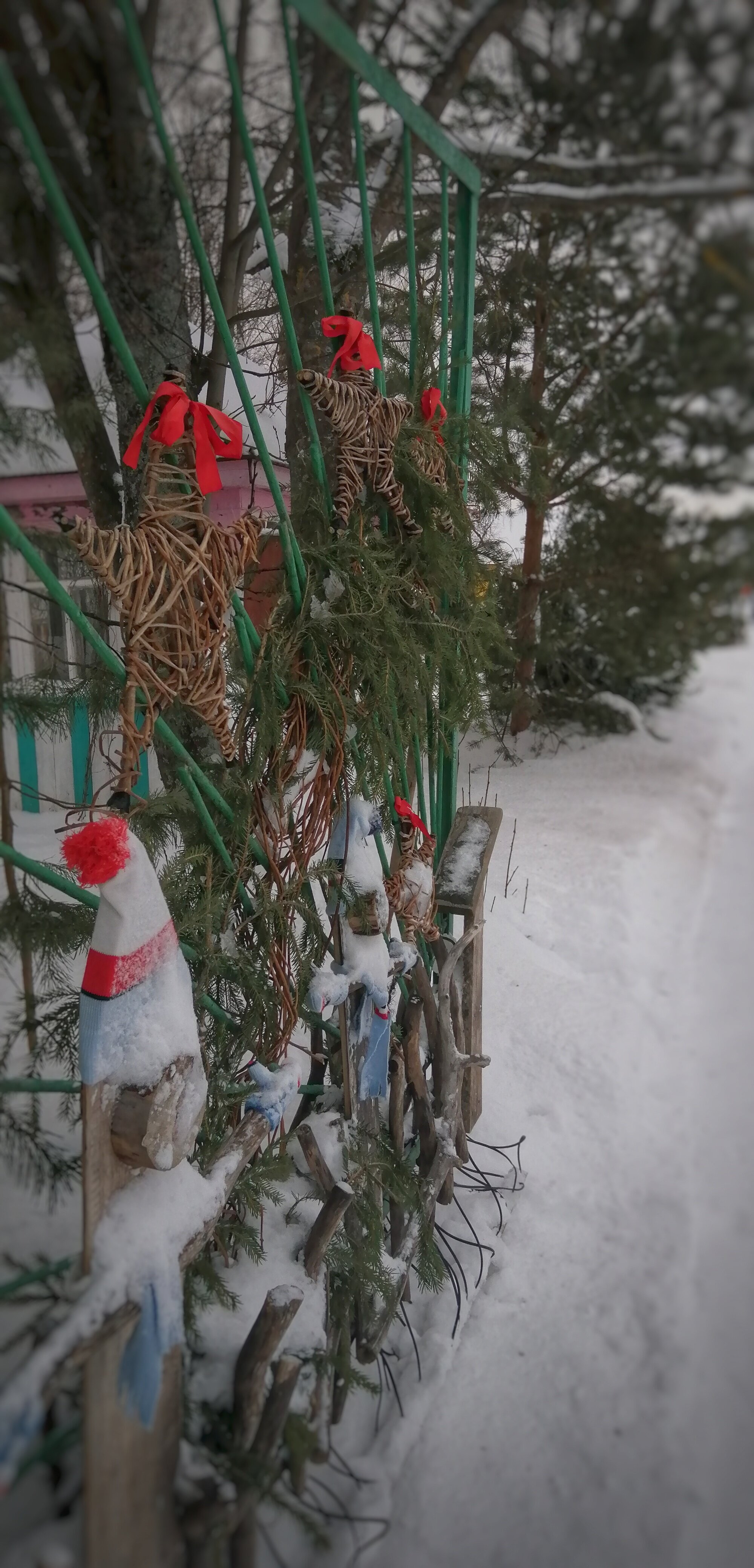 Фото Эко-Усадьба Ошеть