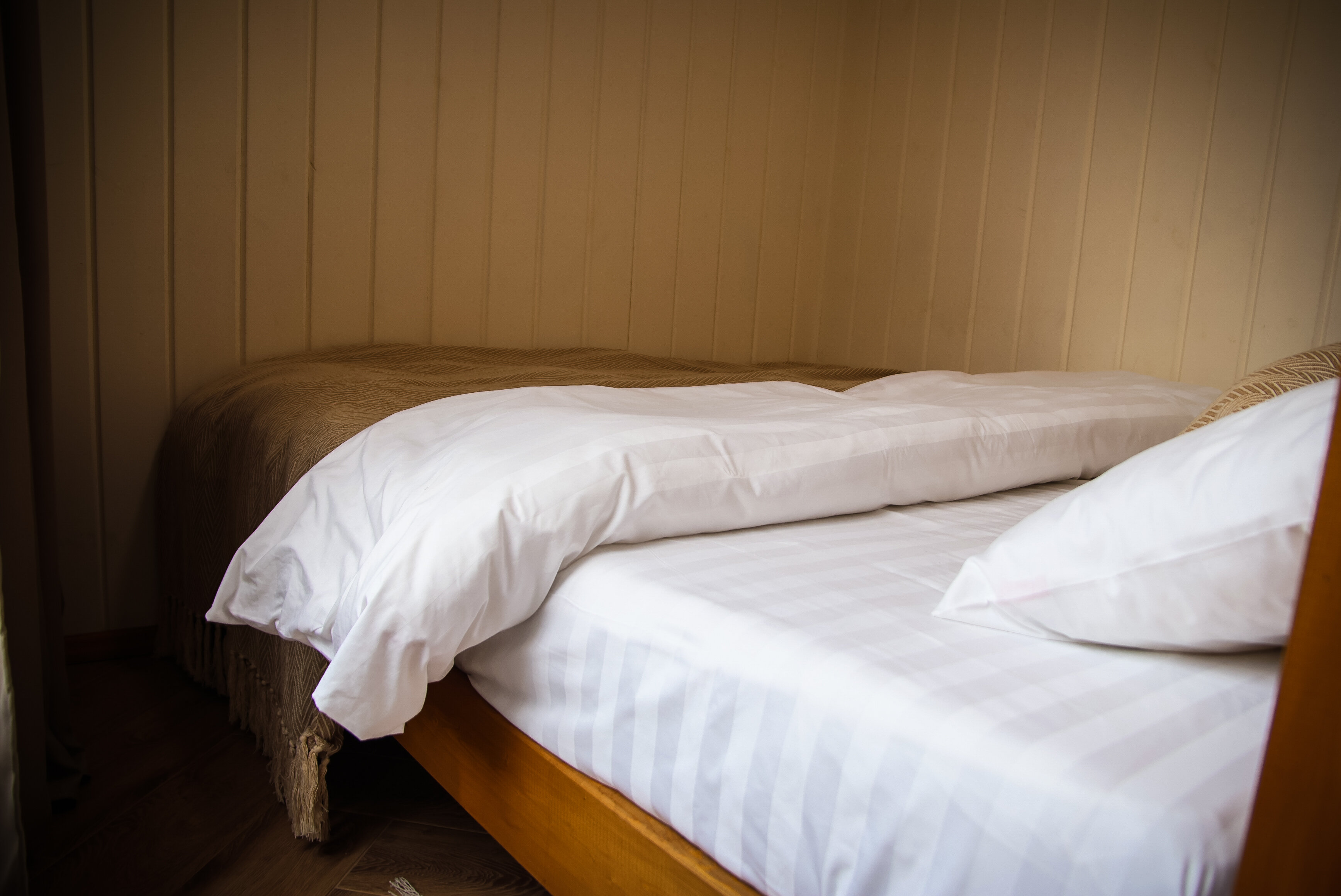 Фото Элемент Алтая