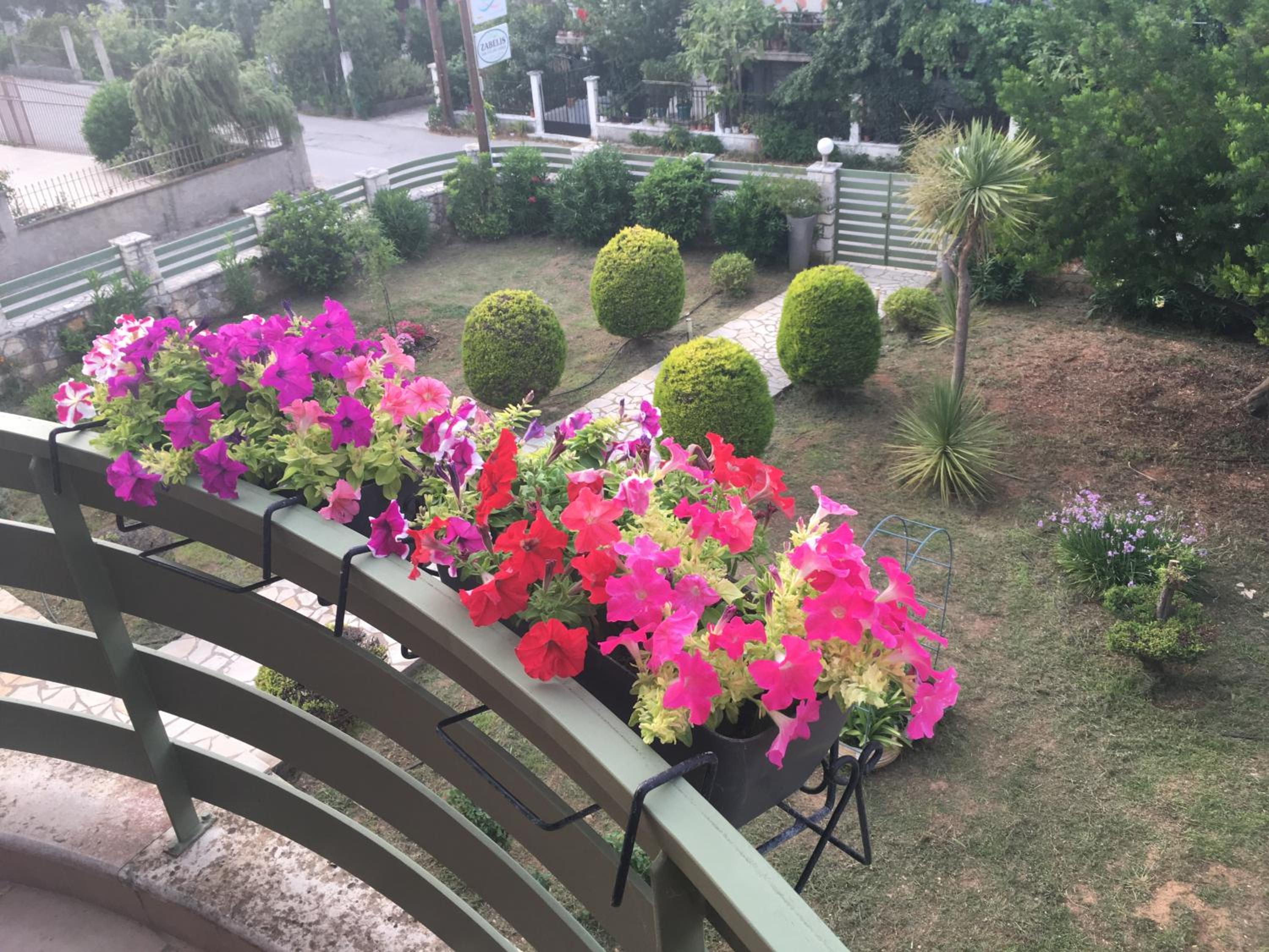 Фото Armonia apartments