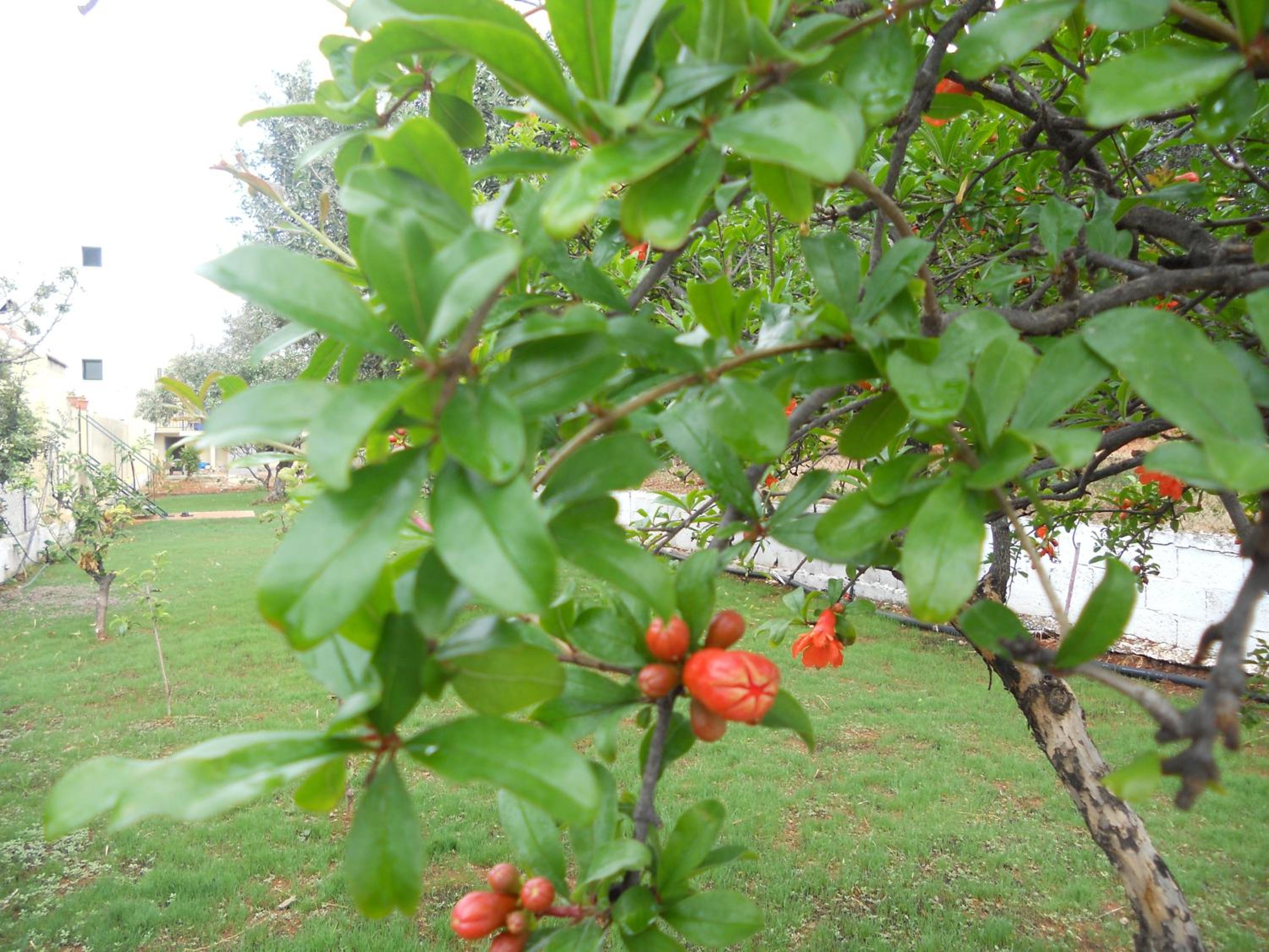 Фото Aspri Petra