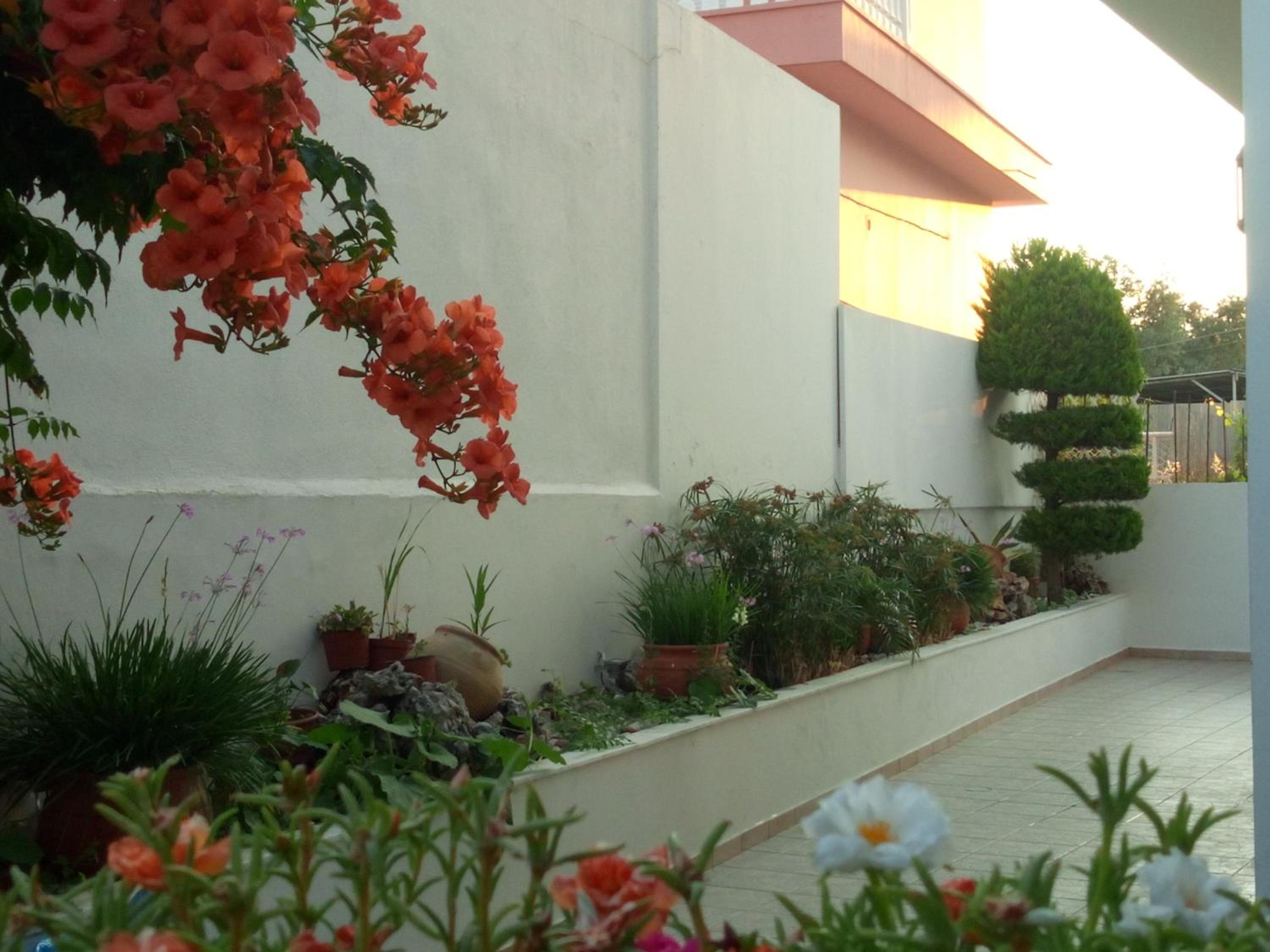 Фото Pantheon Deluxe Apartments