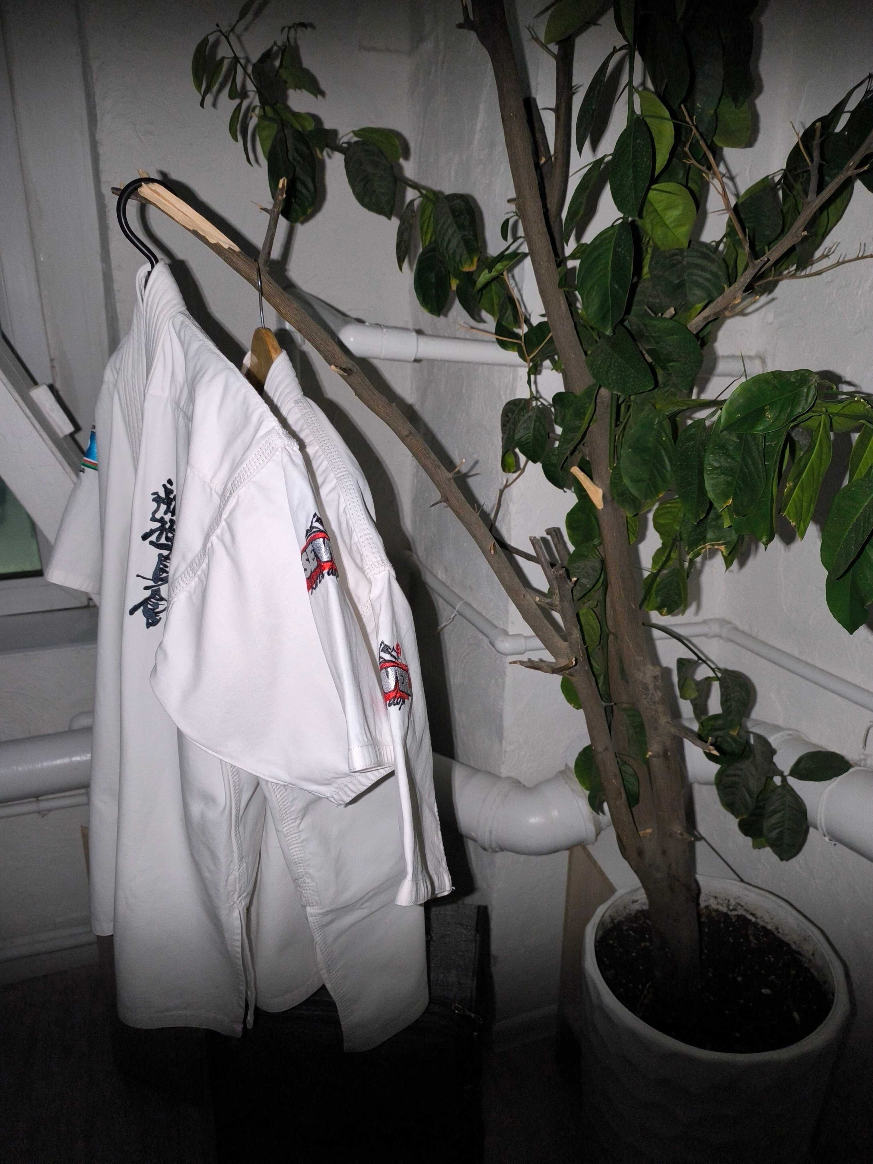 Фото Острова Marina