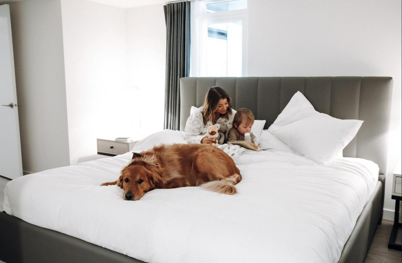 Фото Level Los Angeles Downtown - South Olive