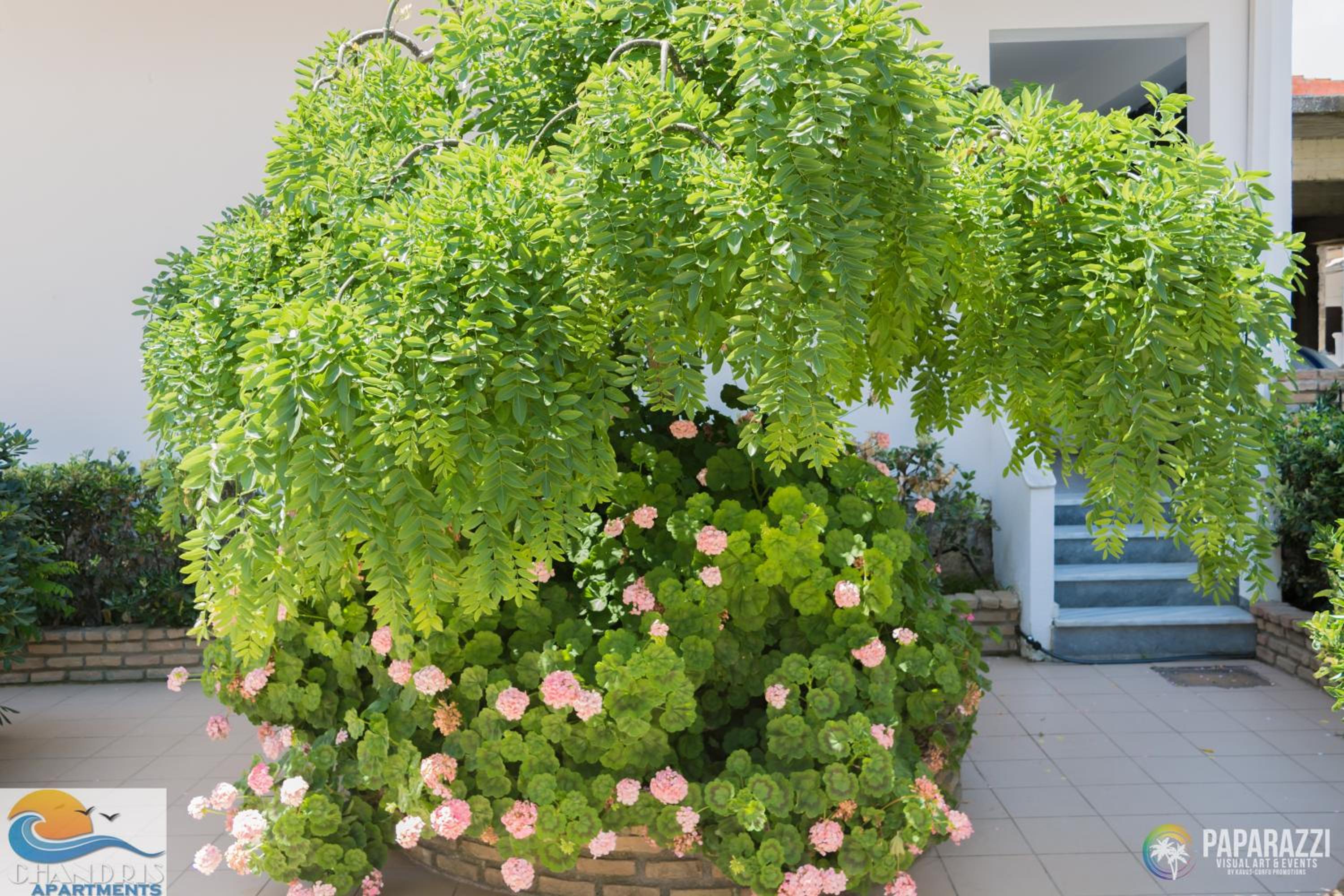 Фото Chandris Apartments