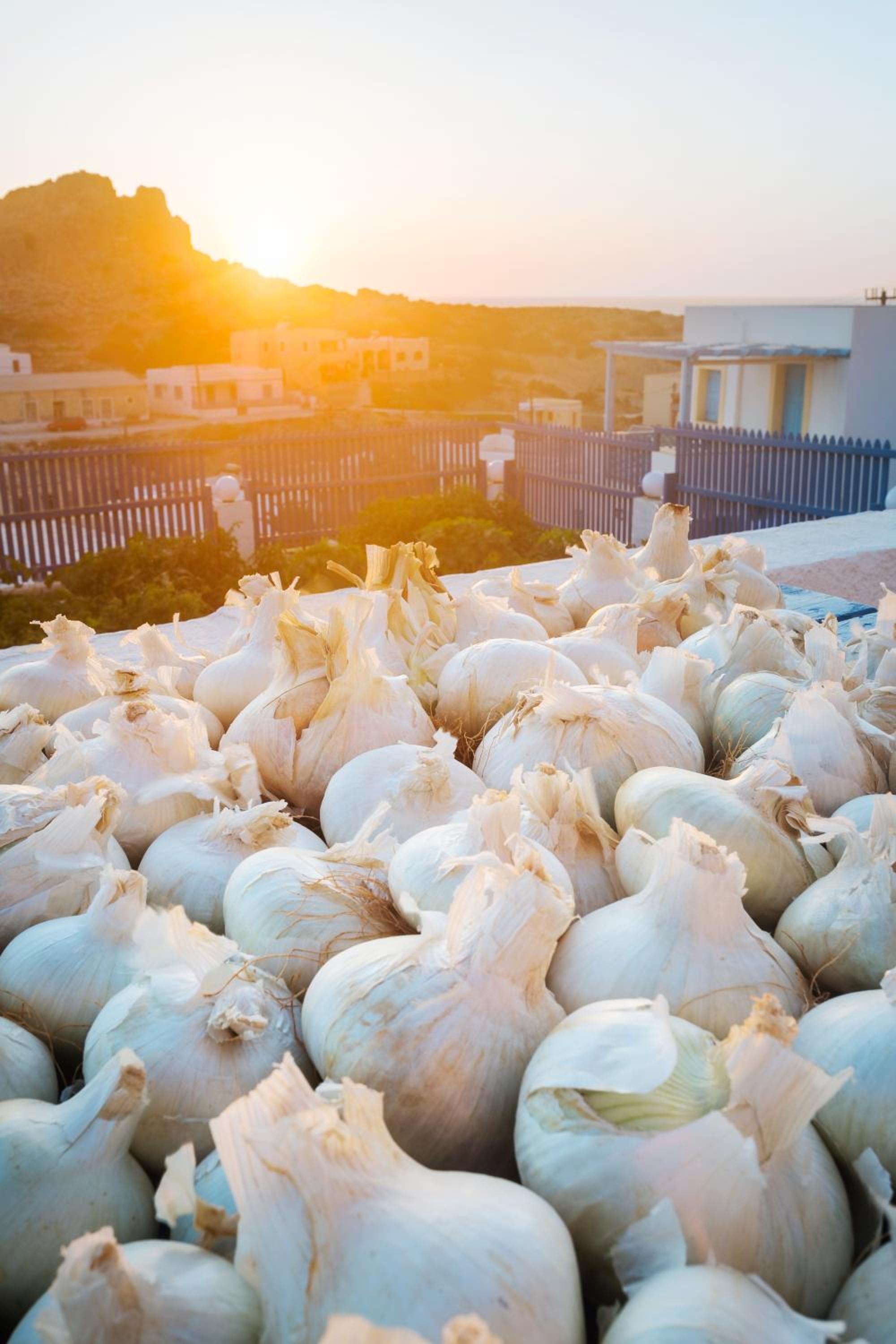 Фото Arhontiko Hotel