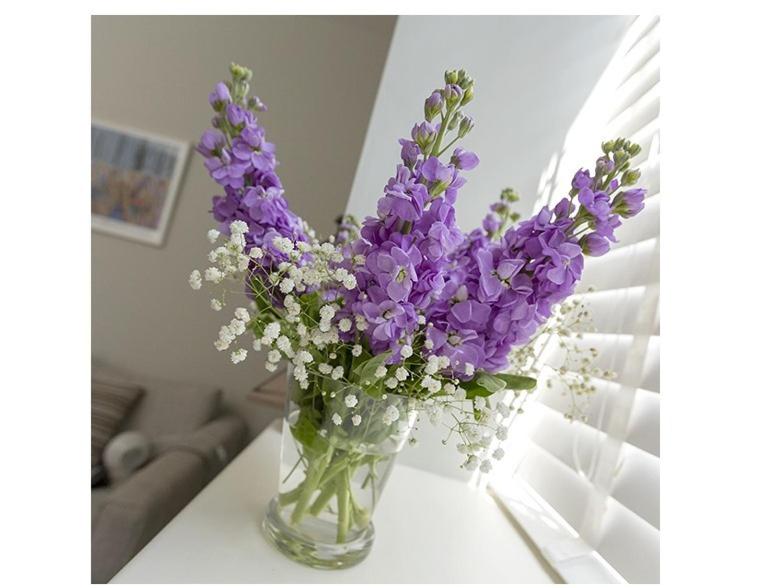 Фото The Lane Hotel